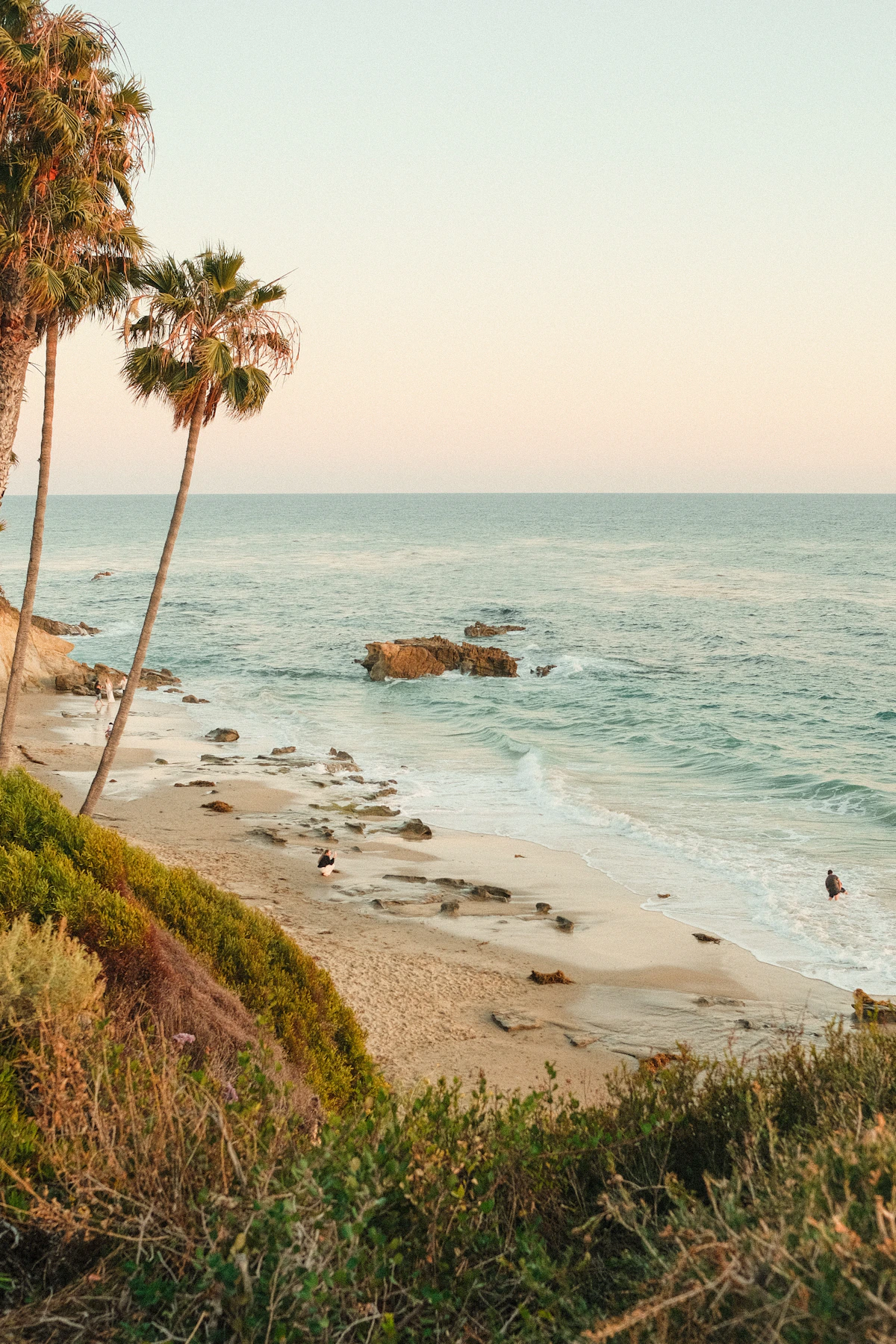 Palm beach at golden hour
