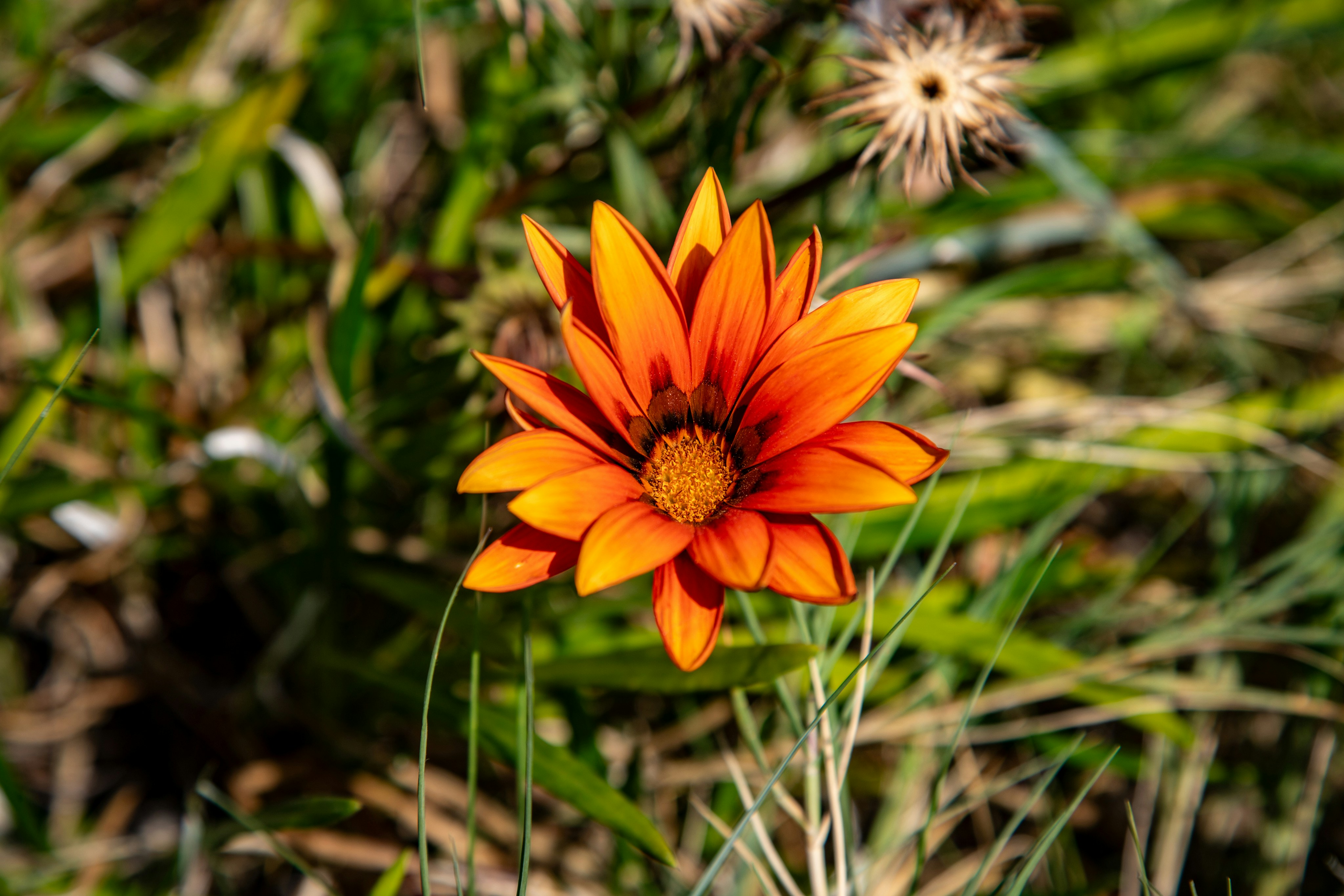 Photo by hdbernd