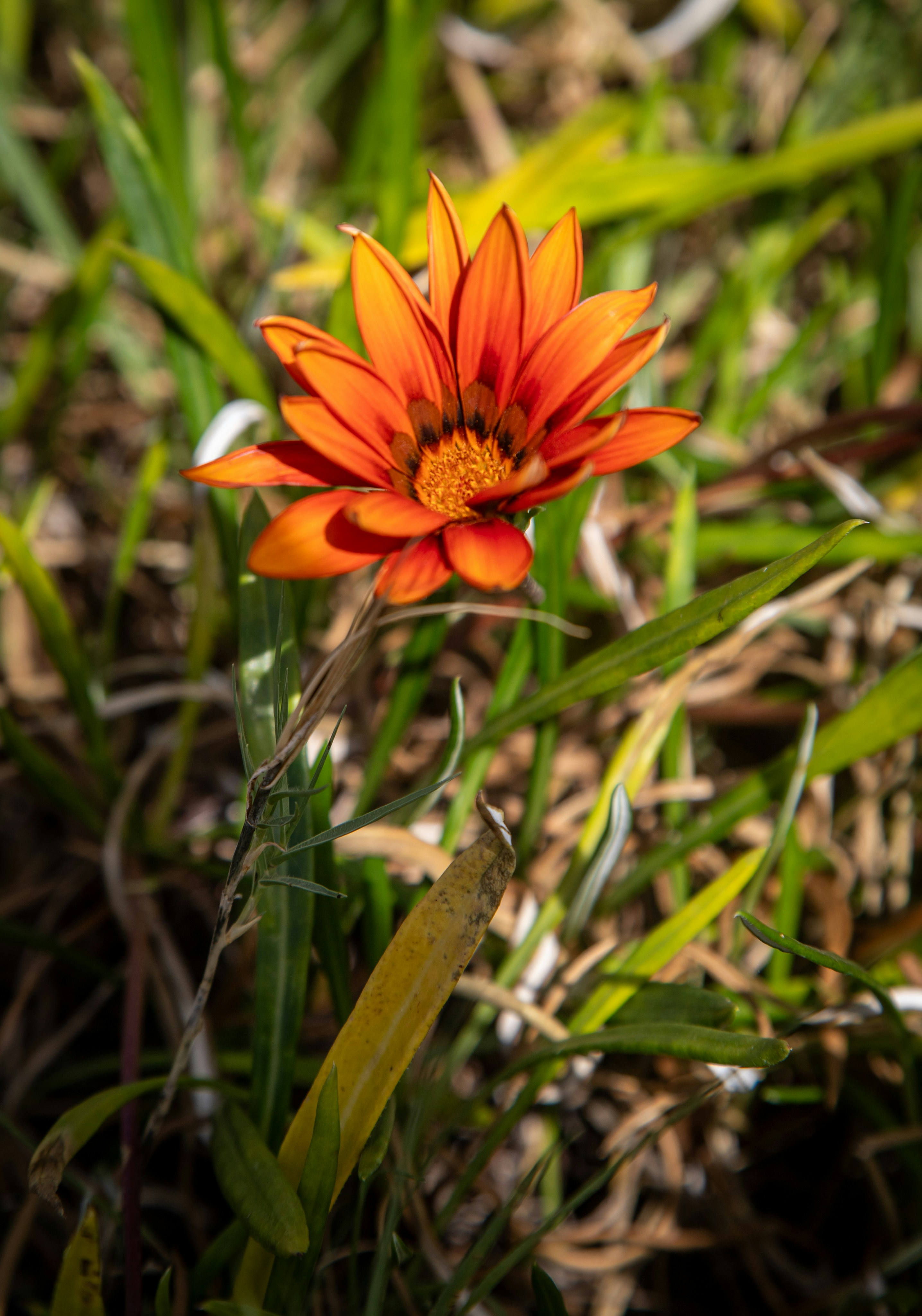 Photo by hdbernd