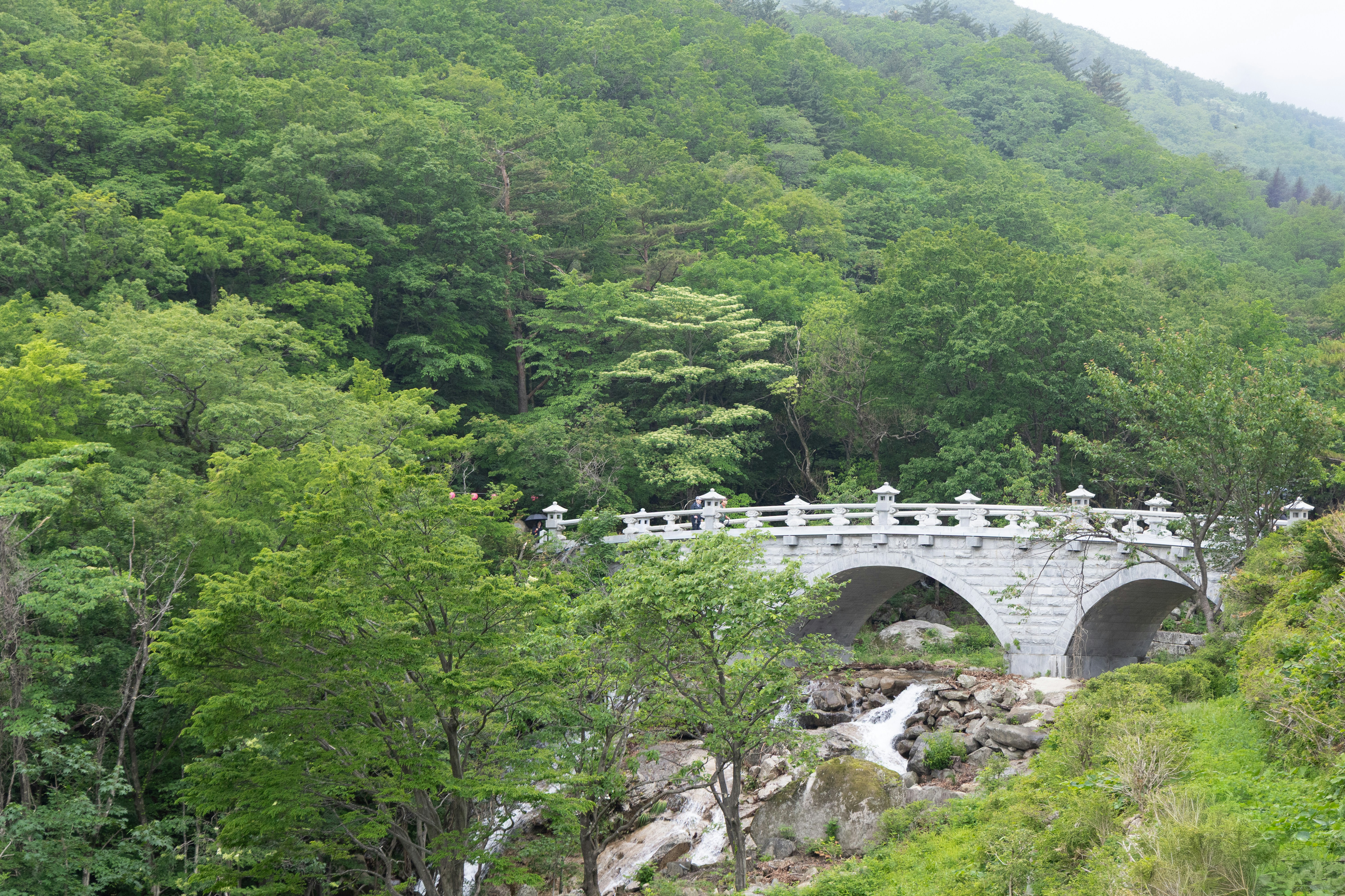 Gangwon-do Library