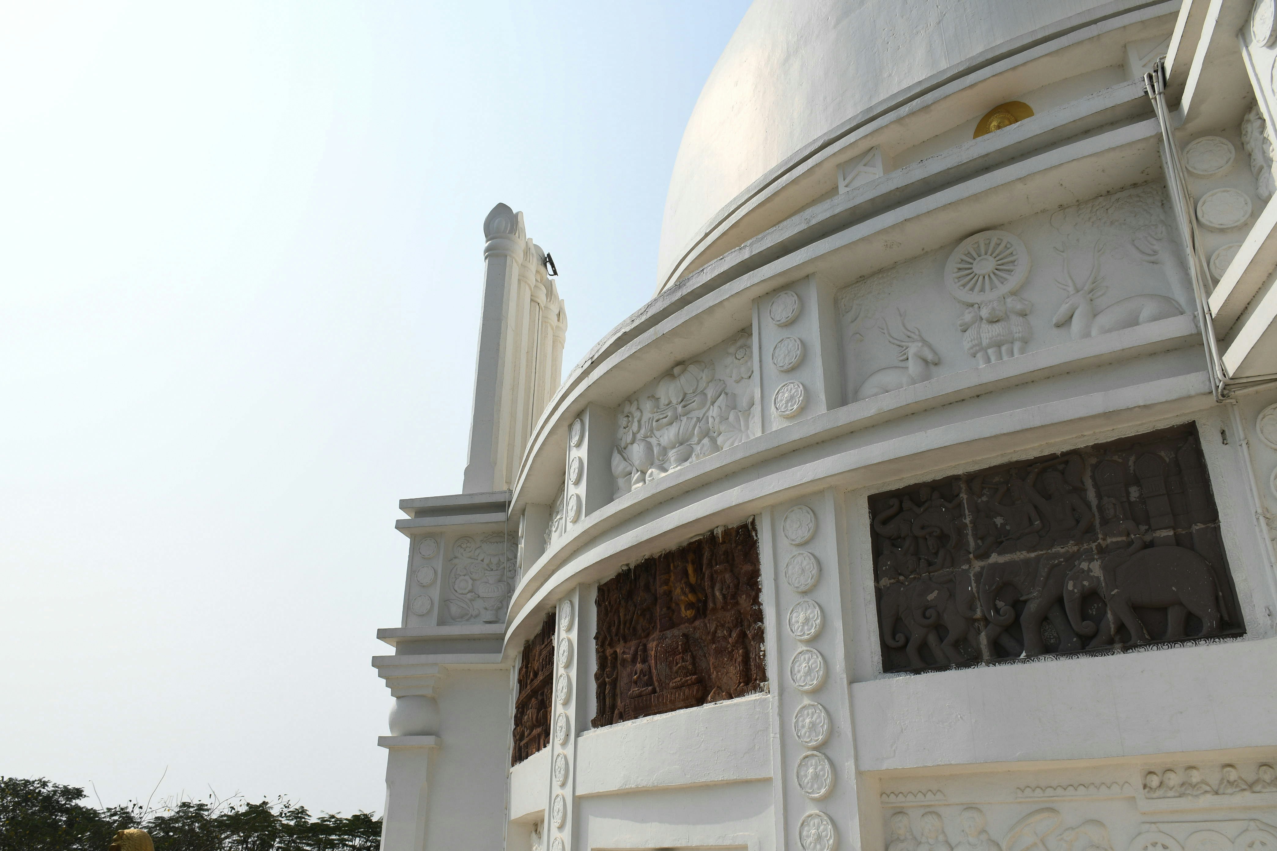 Photo by varshap