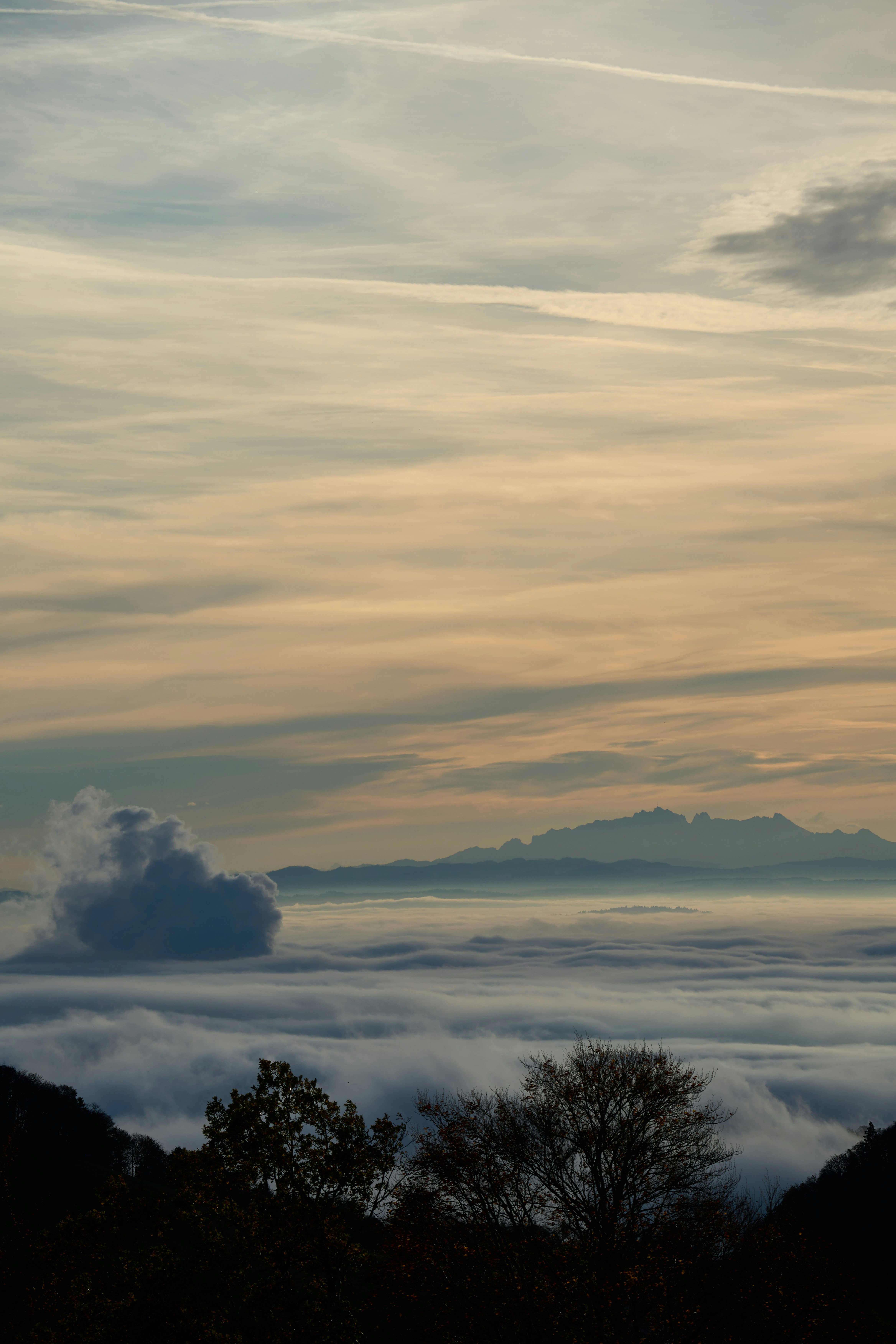 Photo by wolfgang_hasselmann