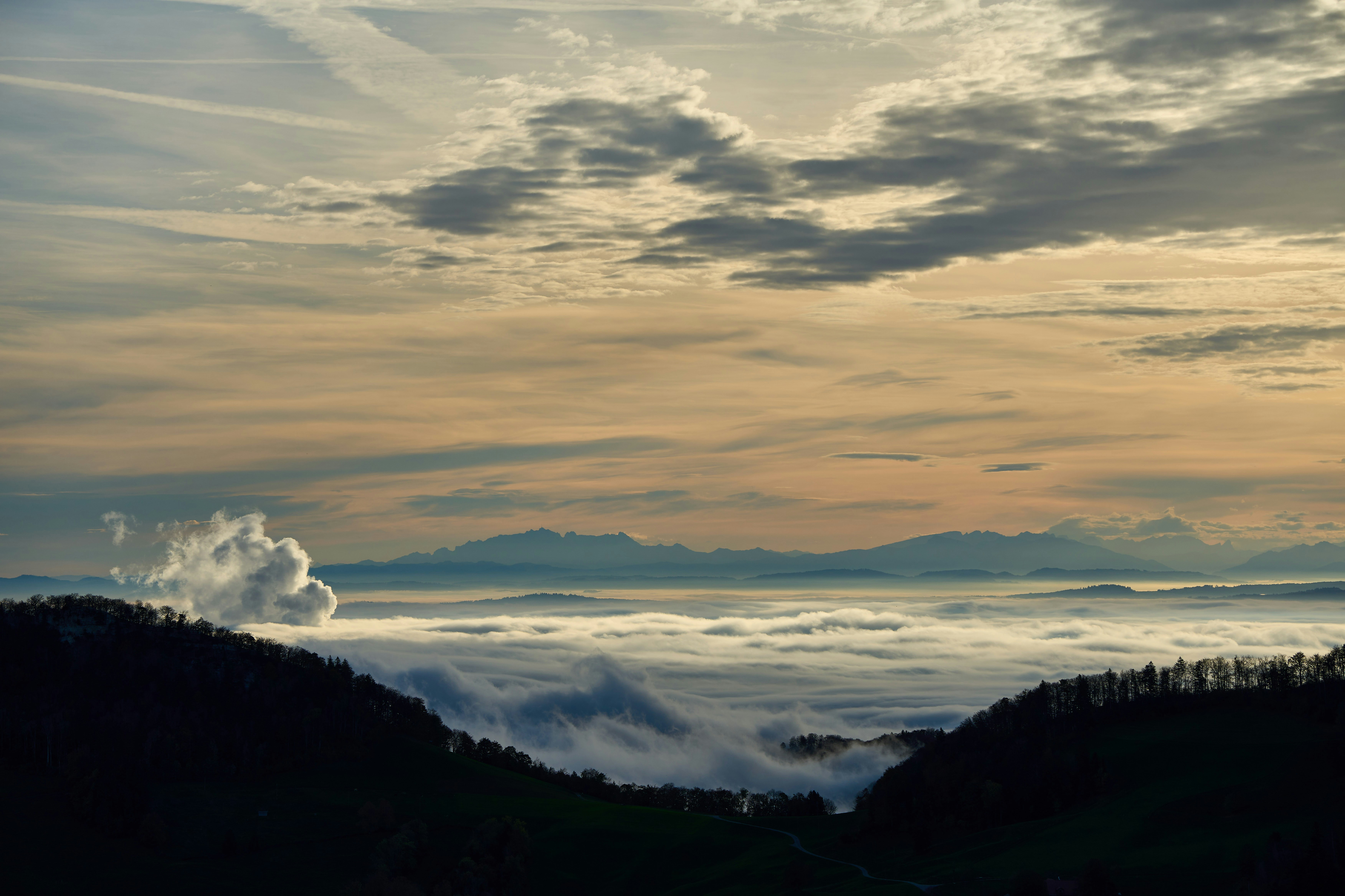 Photo by wolfgang_hasselmann