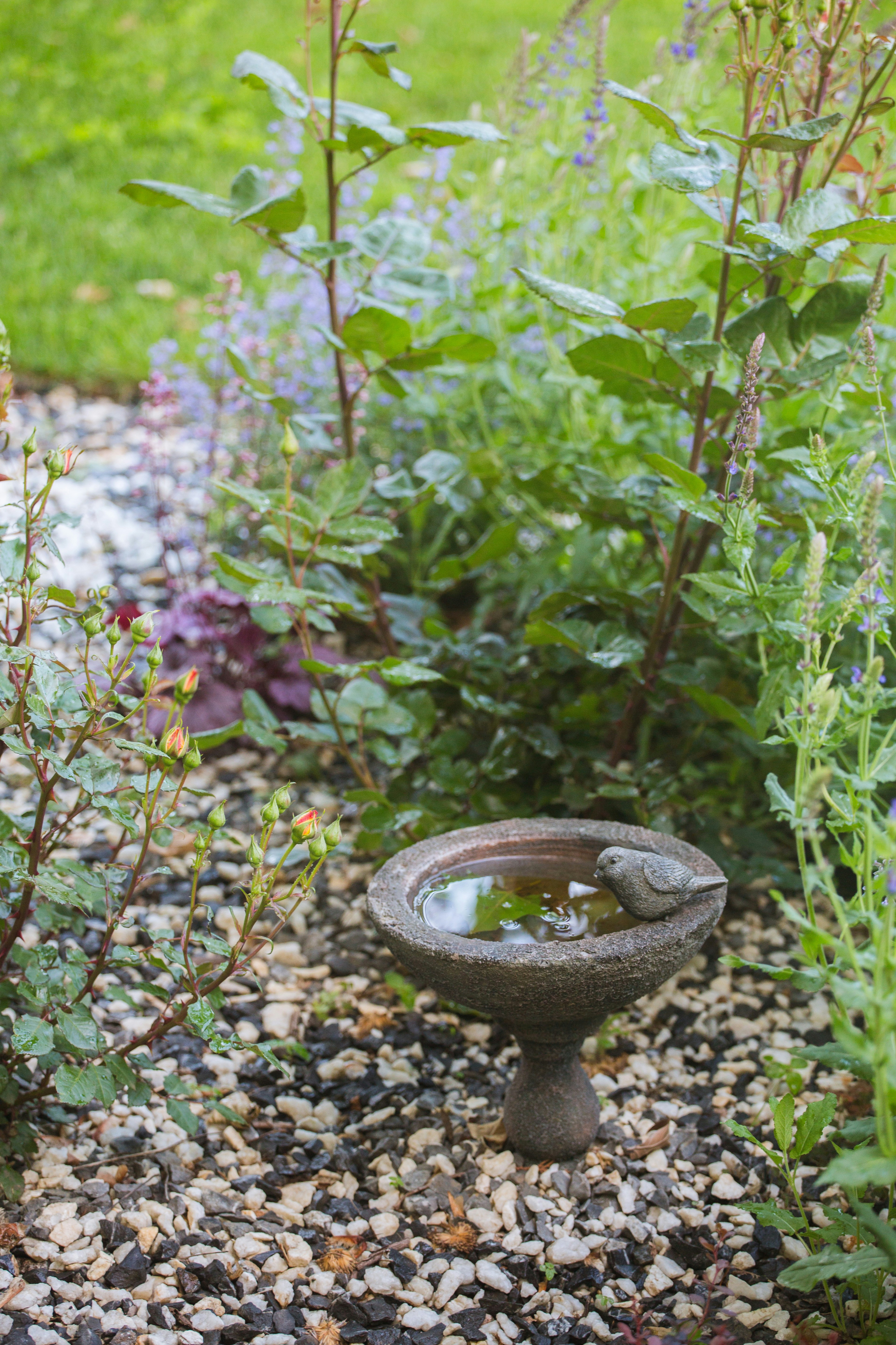 Incorporate a Small Water Feature like a Birdbath - backyard landscaping on a budget