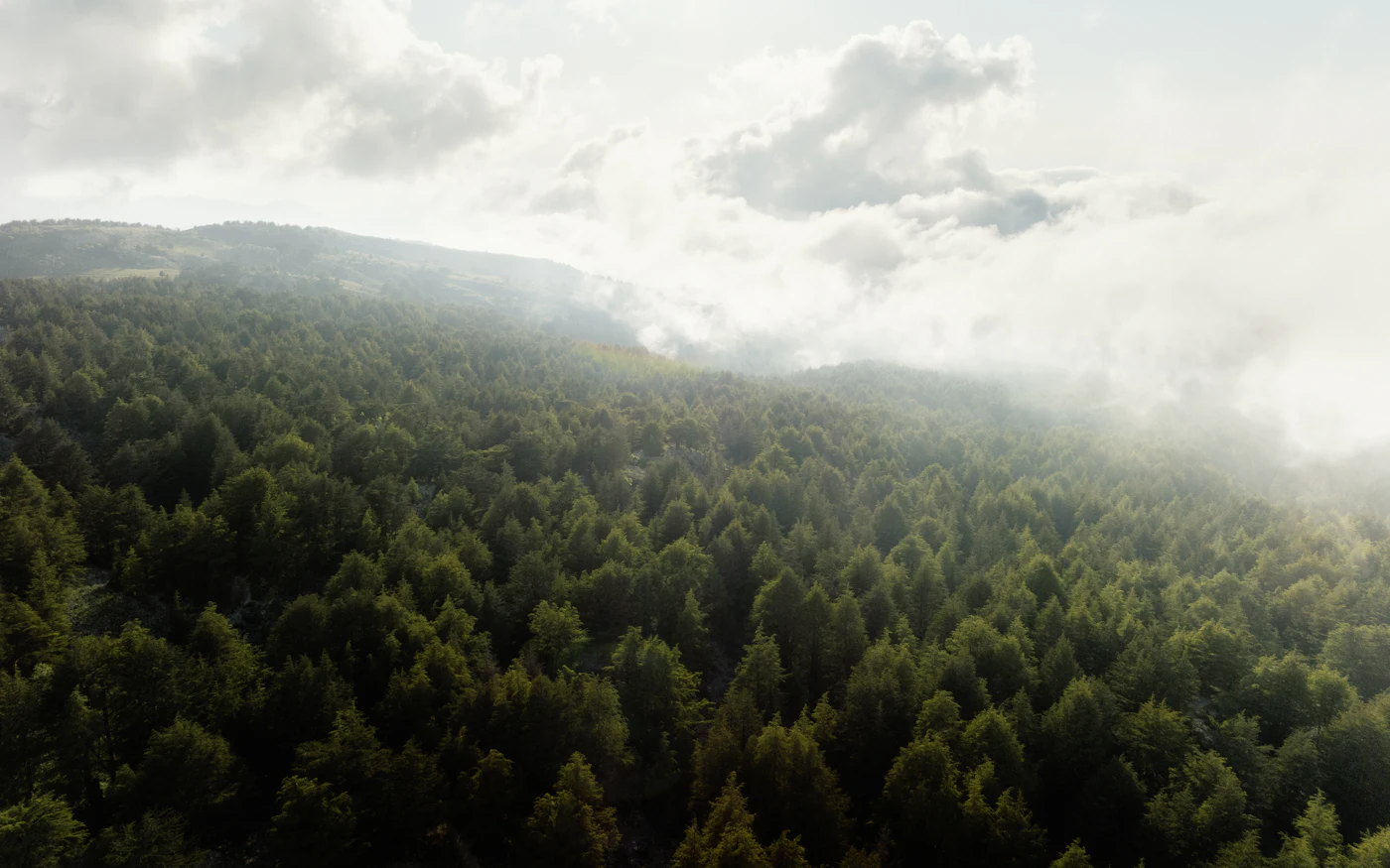 Cloud spilling over a forested mountain range, photographed from the air