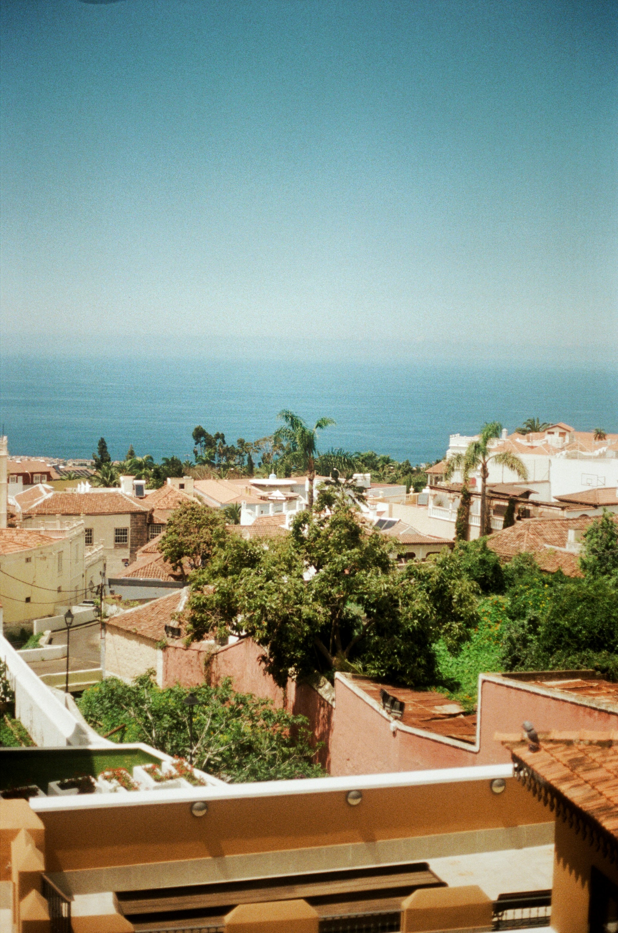 Photo by babikacharava