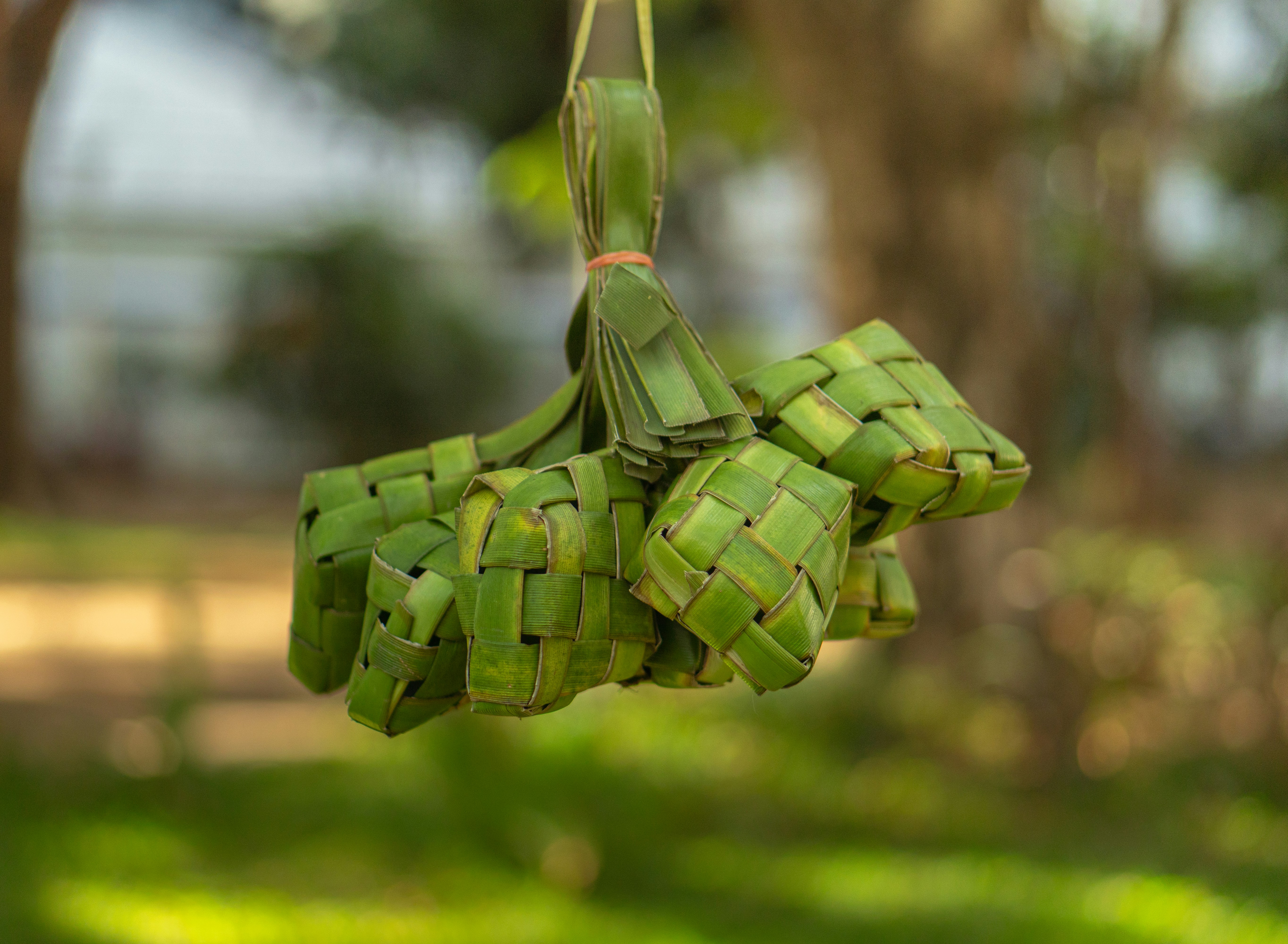Kantong daun palem anyaman hijau tergantung di luar ruangan.