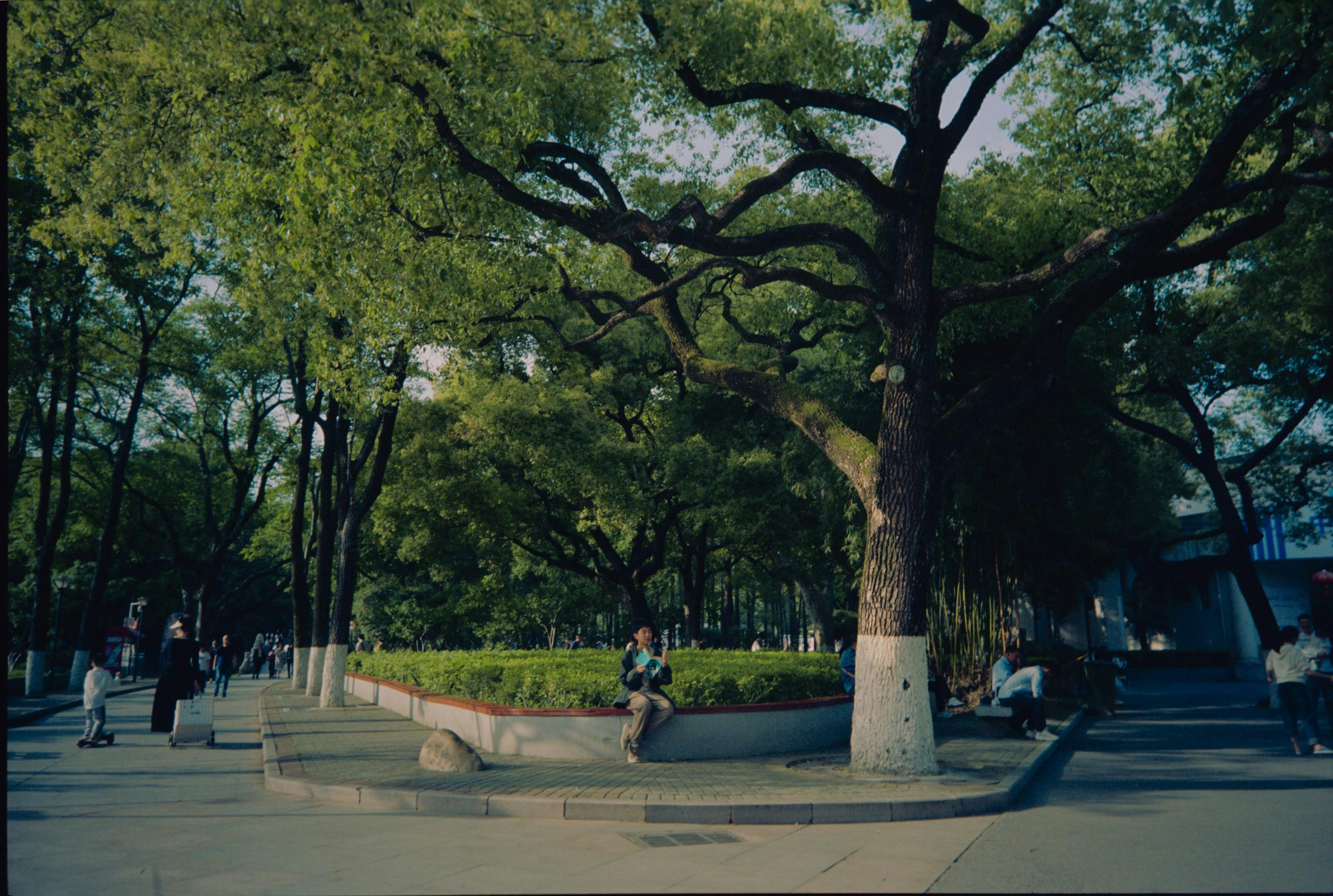 Photo by dlow111