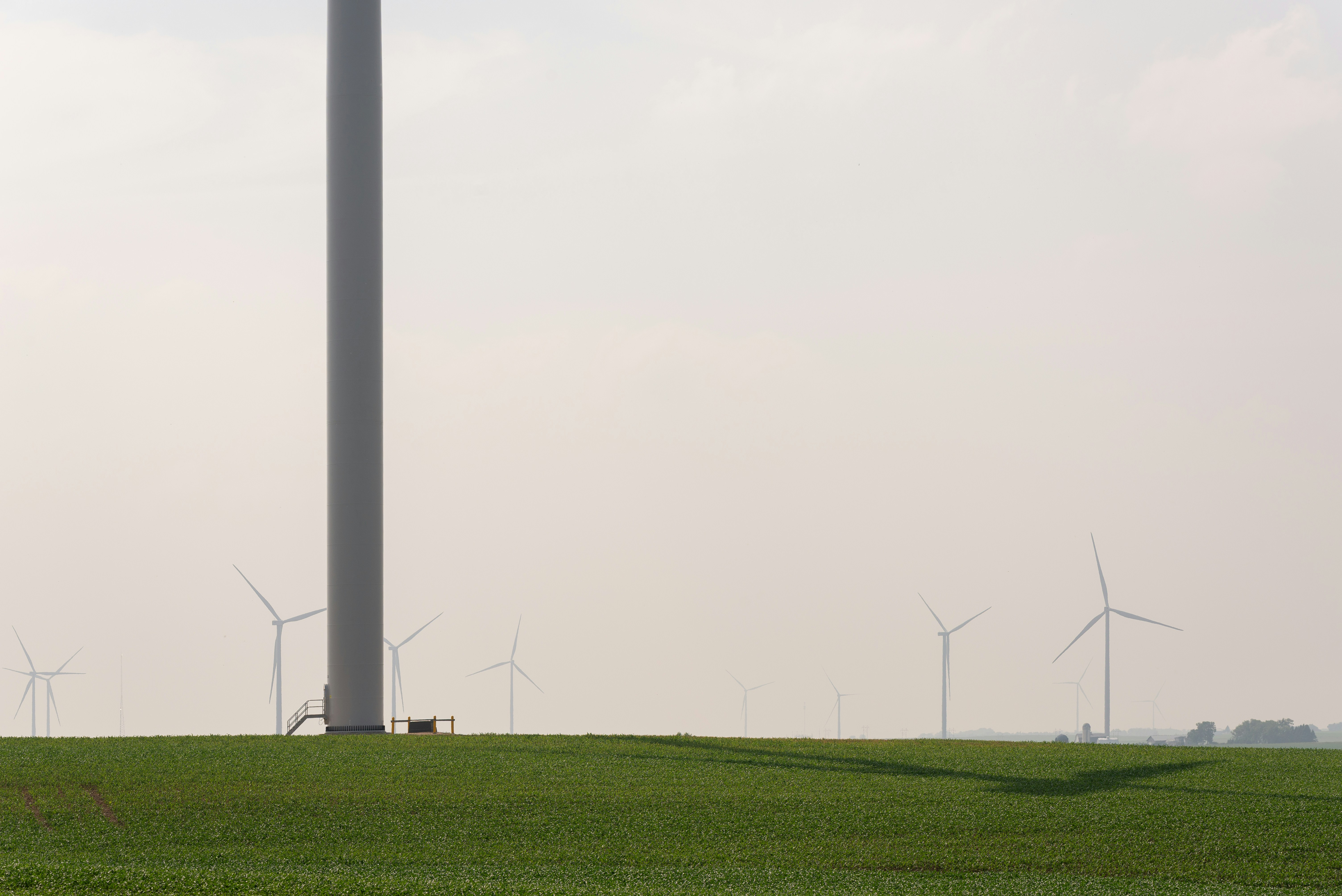 The Windmills of Bruges: Sentinels on the Ramparts