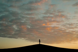 Silhouette of a person on a hill at sunset.