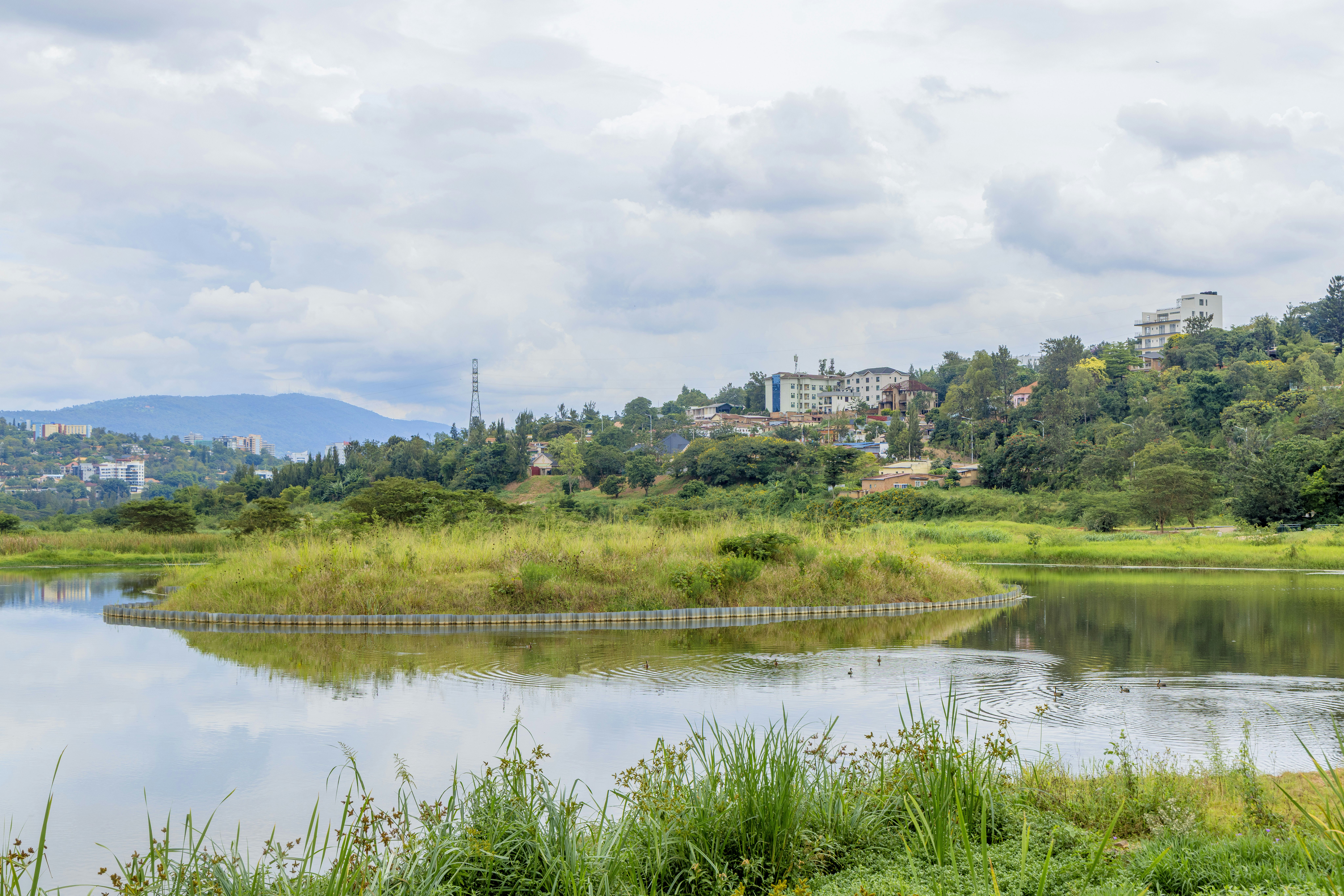 Ultimate 10 Day Rwanda Itinerary Beyond Gorilla Trekking Volcanoes National Park
