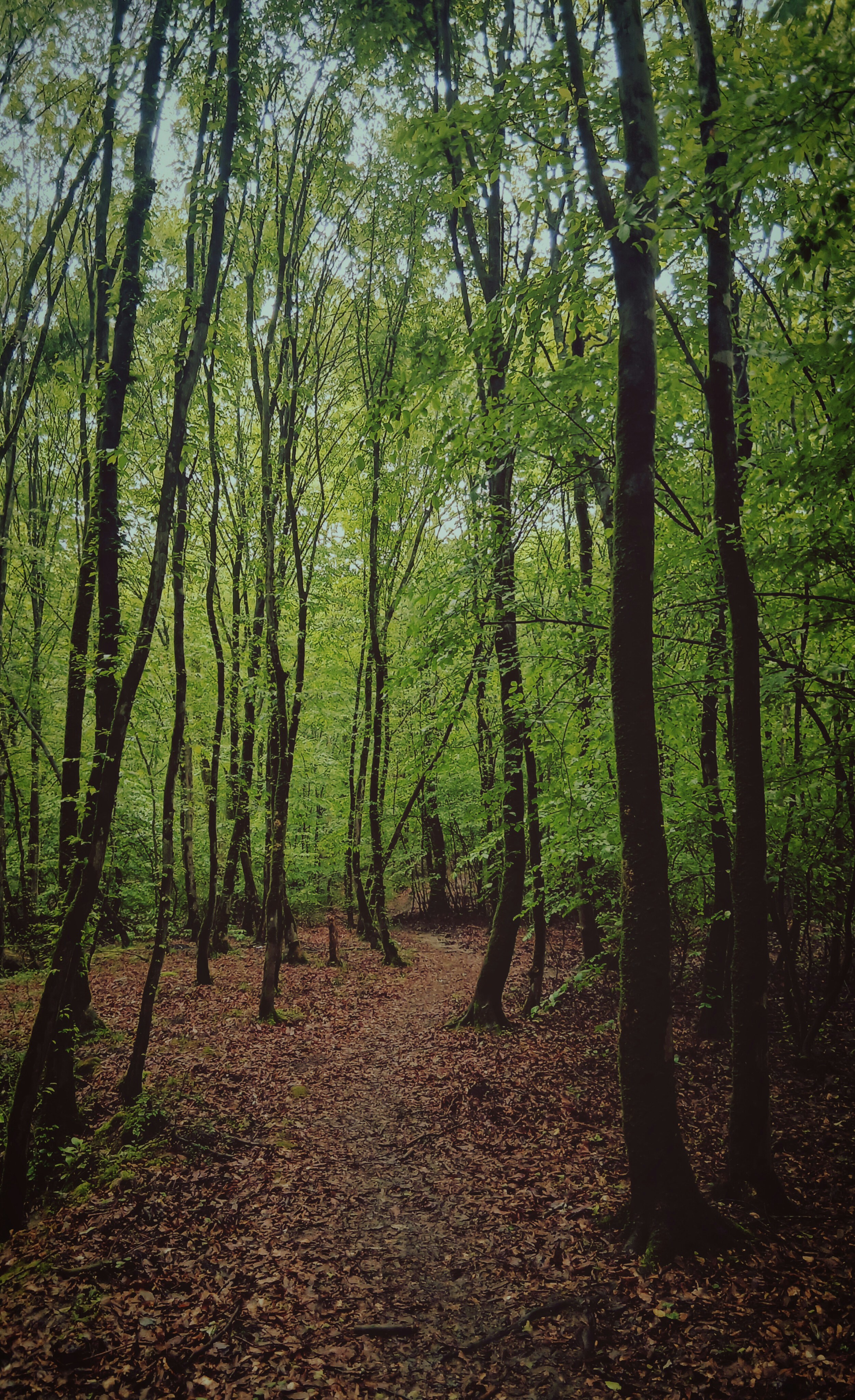 Photo by arman96