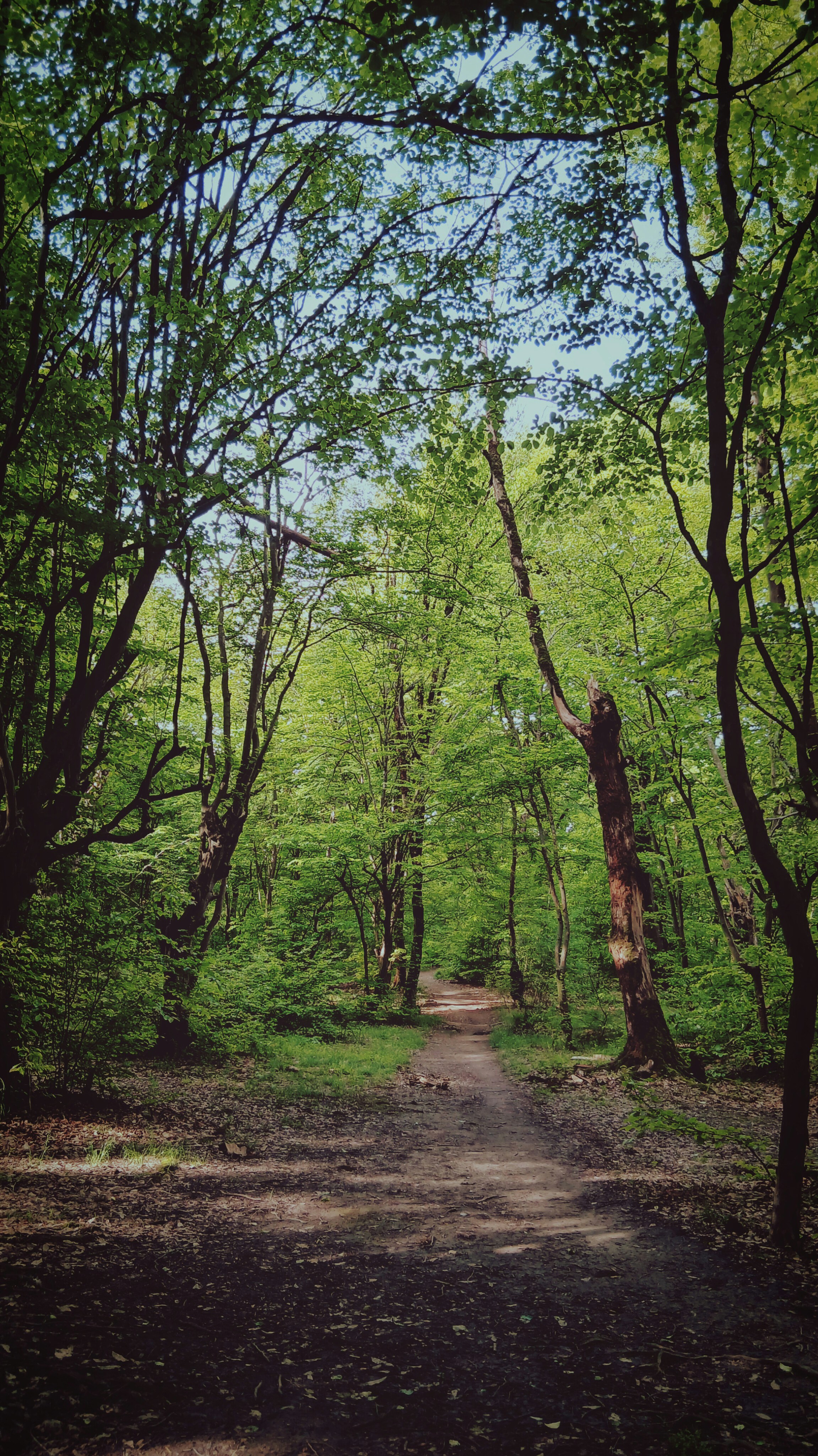 Photo by arman96