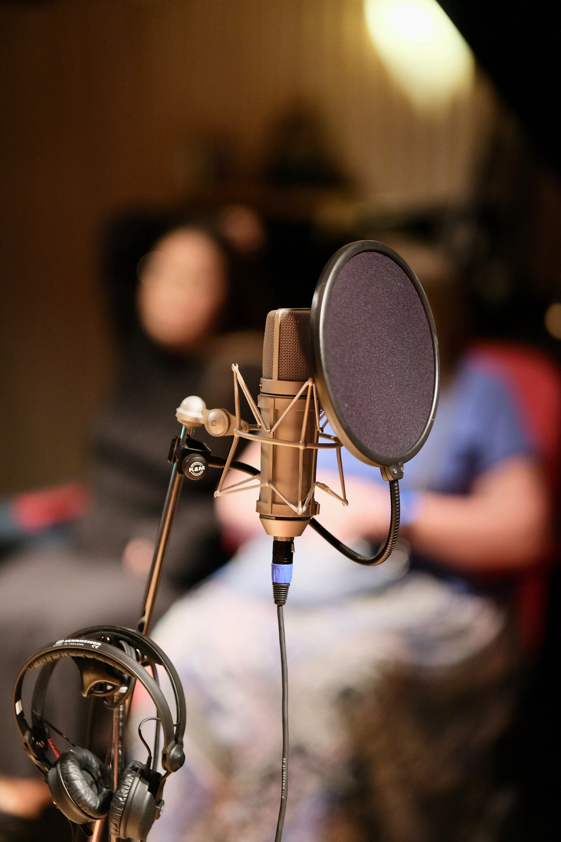 Studio microphone and headphones used as representative service imagery