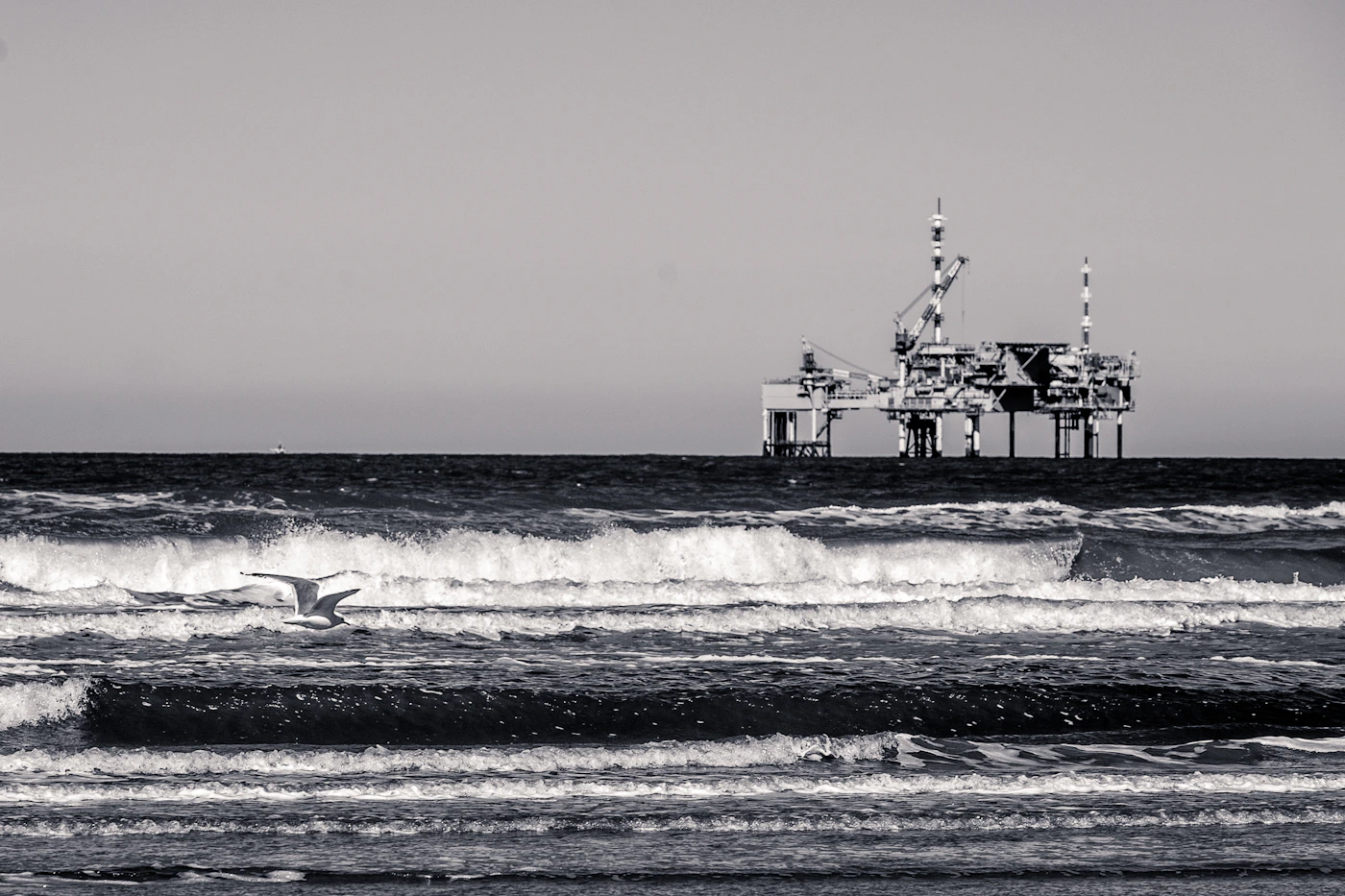 An offshore rig on the open ocean with a lone bird overhead, representing wrongful death claims arising from work at sea