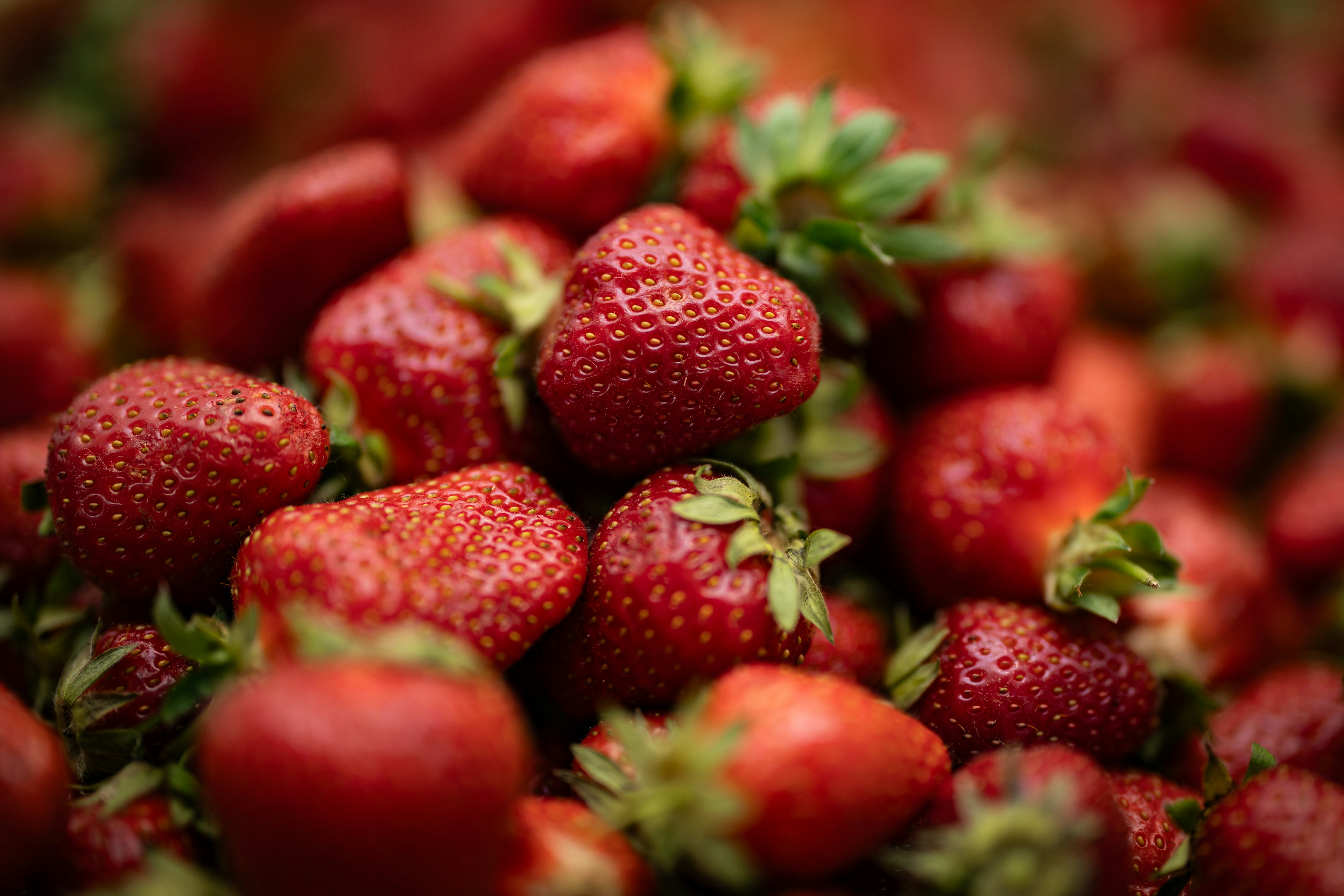 Fresh red strawberries with green leaves.