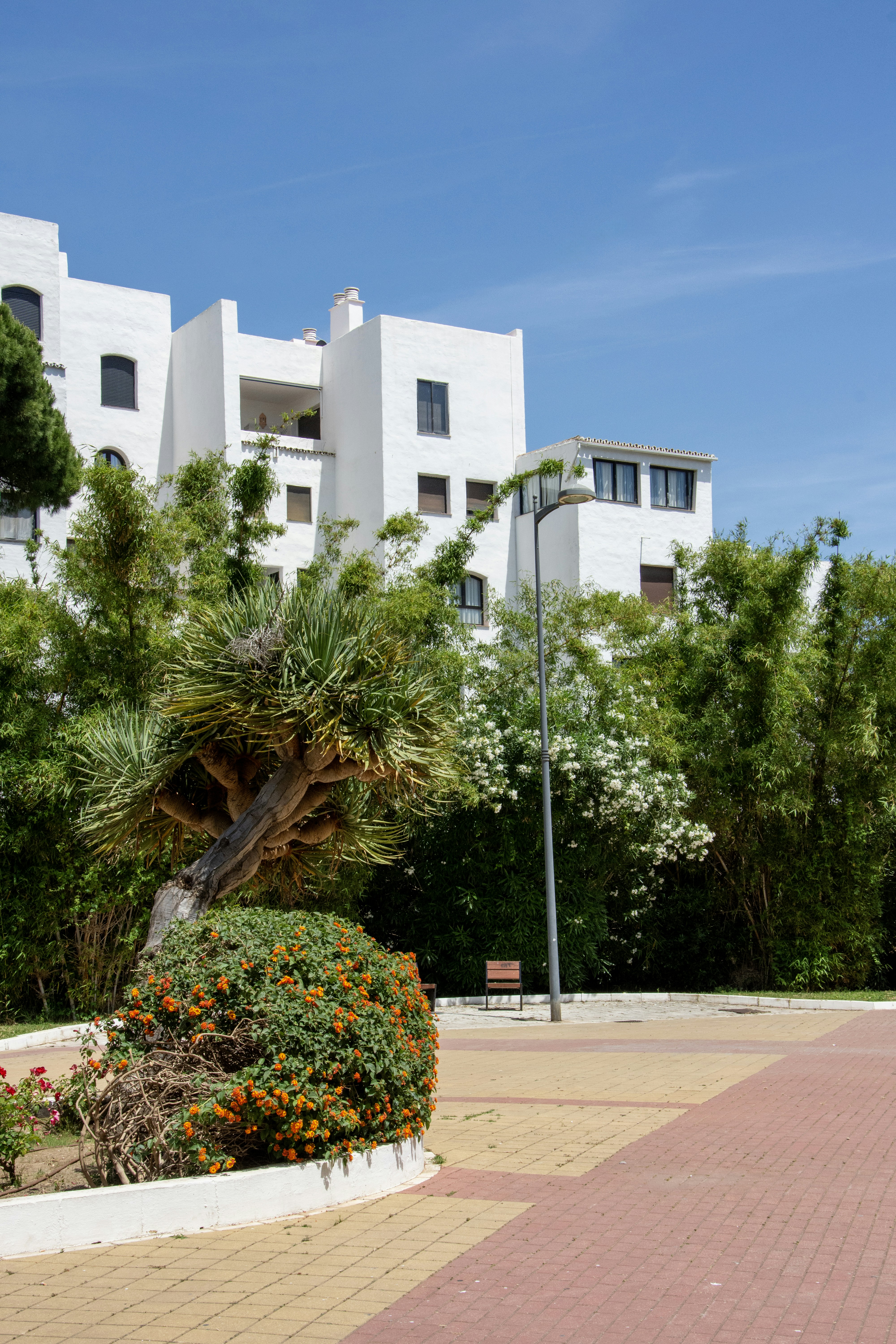 Photo by wedesignmarbella