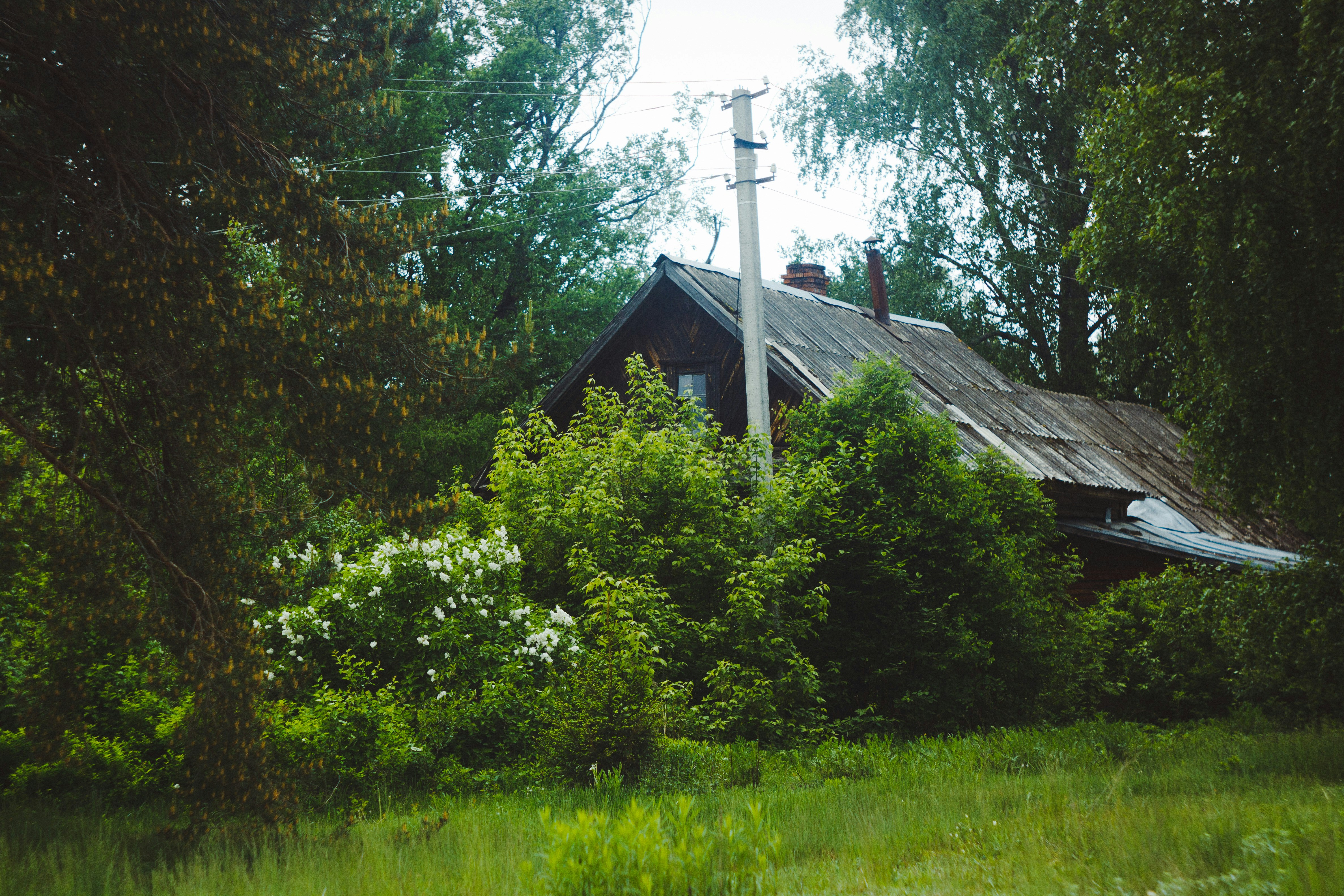 Photo by denmirov