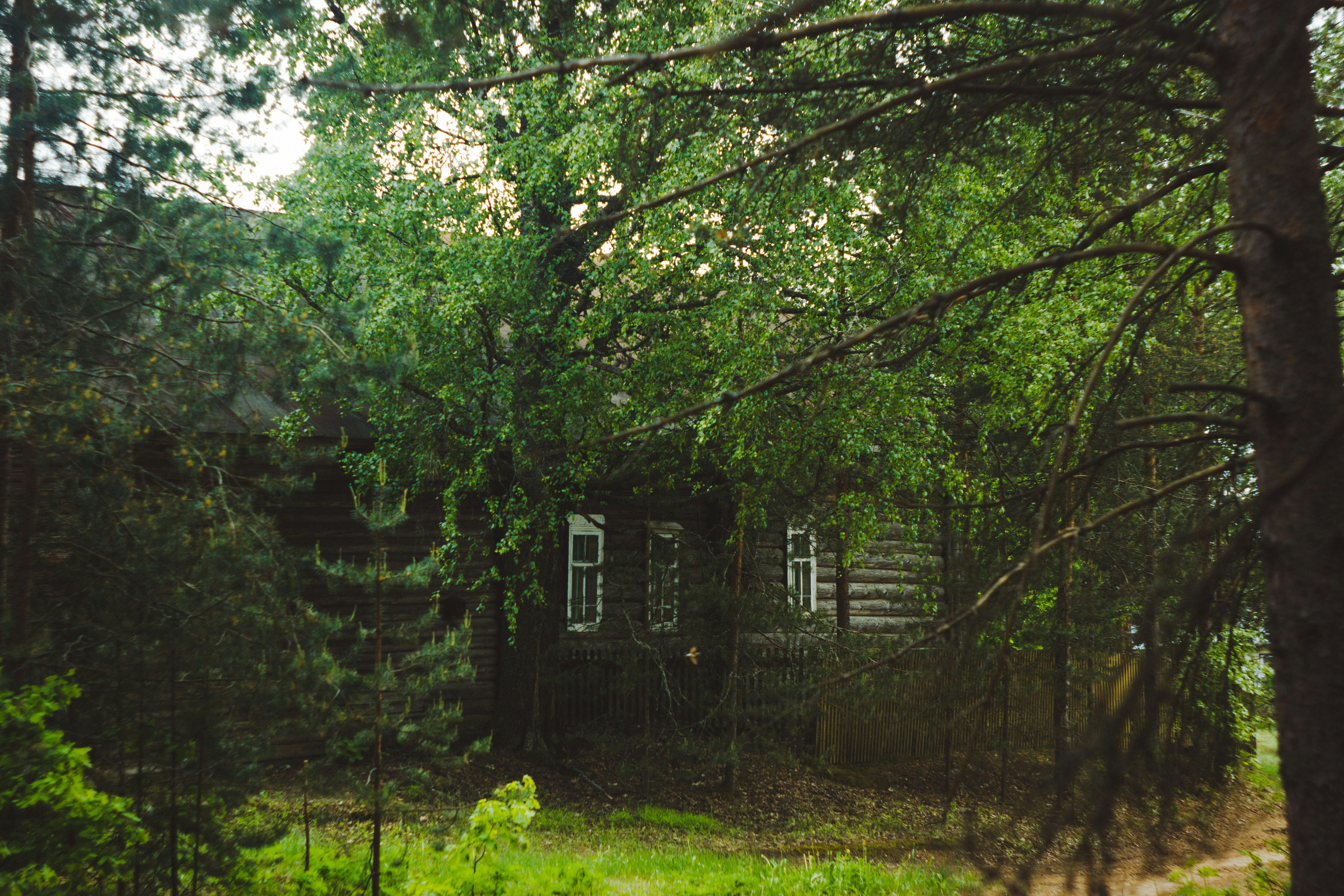 Photo by denmirov
