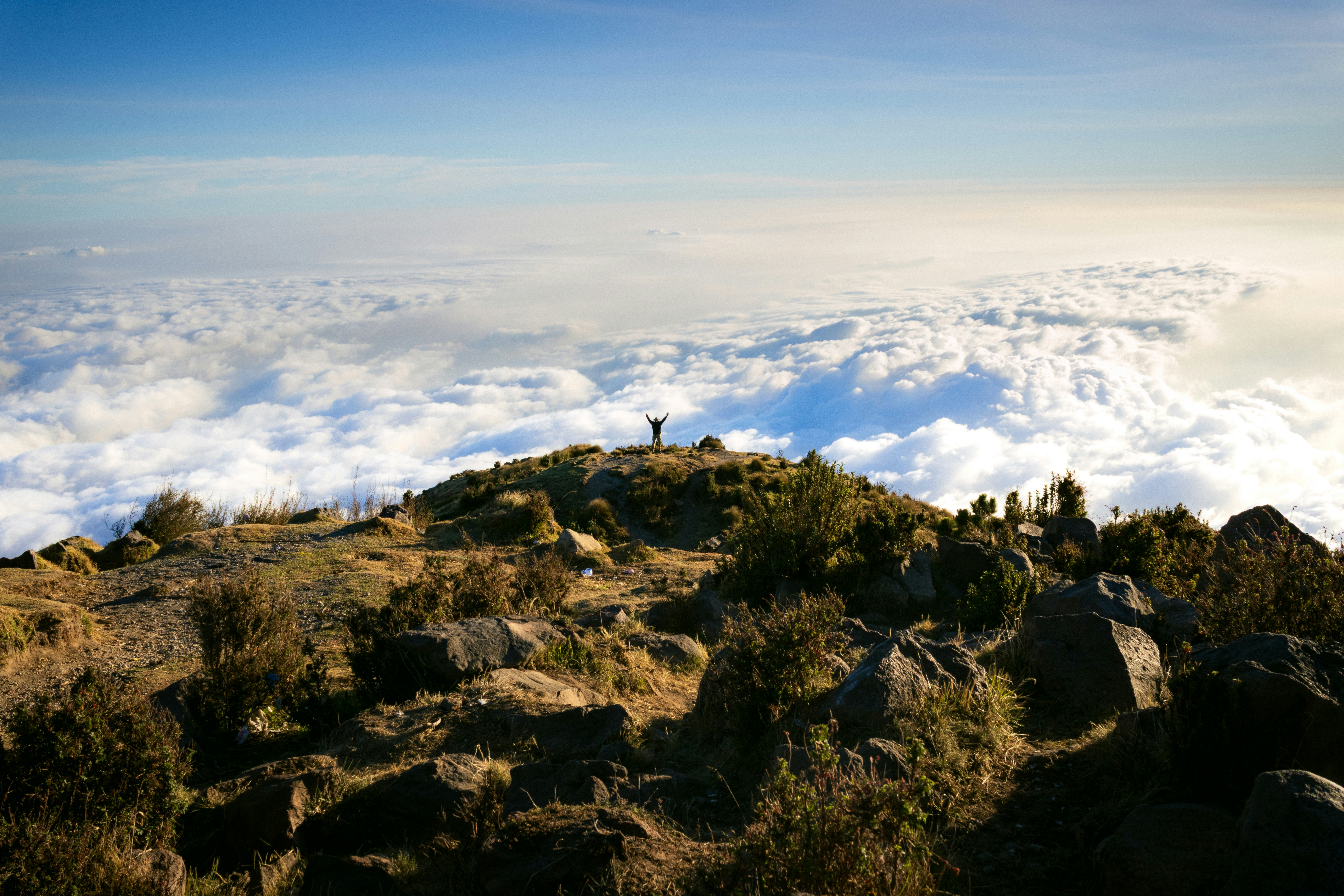 Top 5 Places to Get High in Denver, Colorado