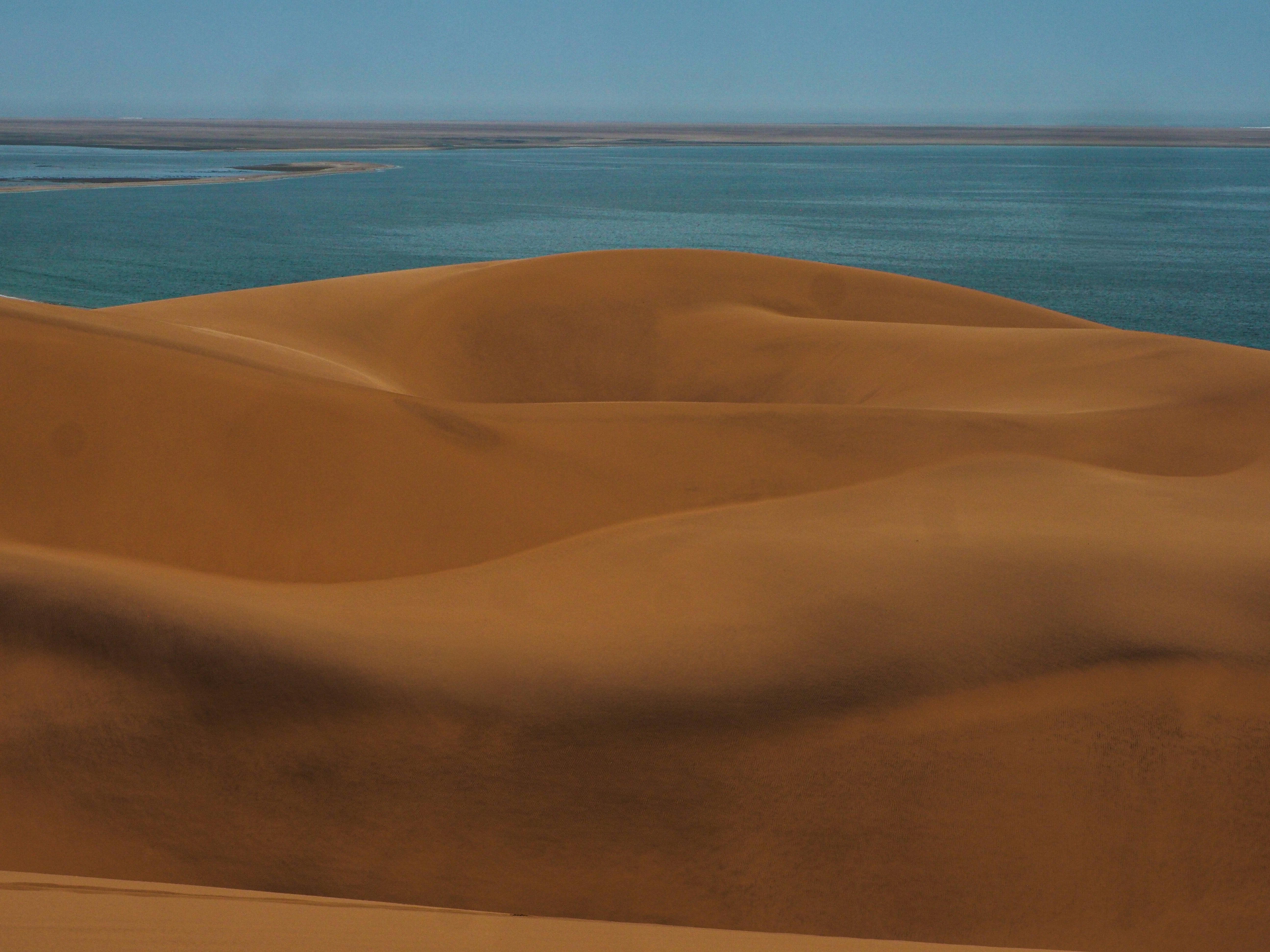 Sand dunes meet the ocean under a clear blue sky.