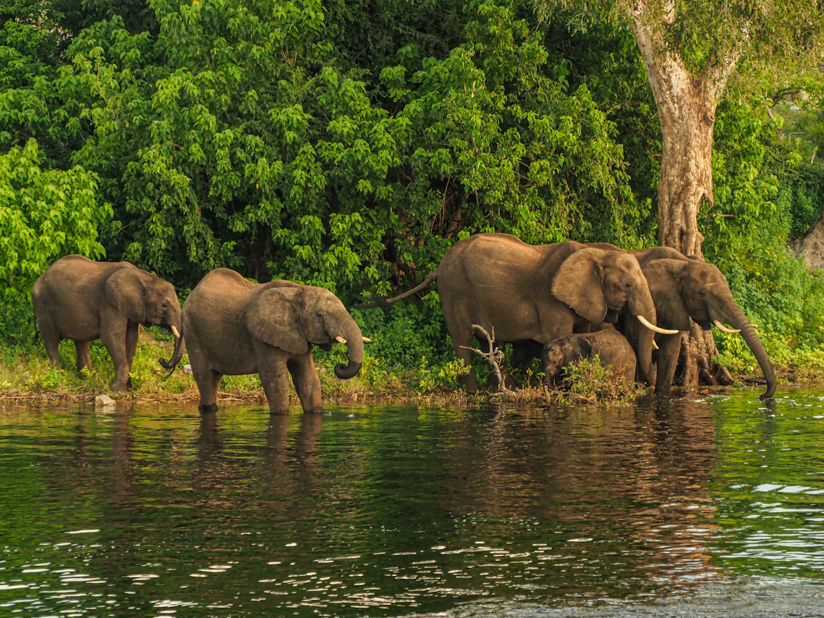 Rajaji National Park