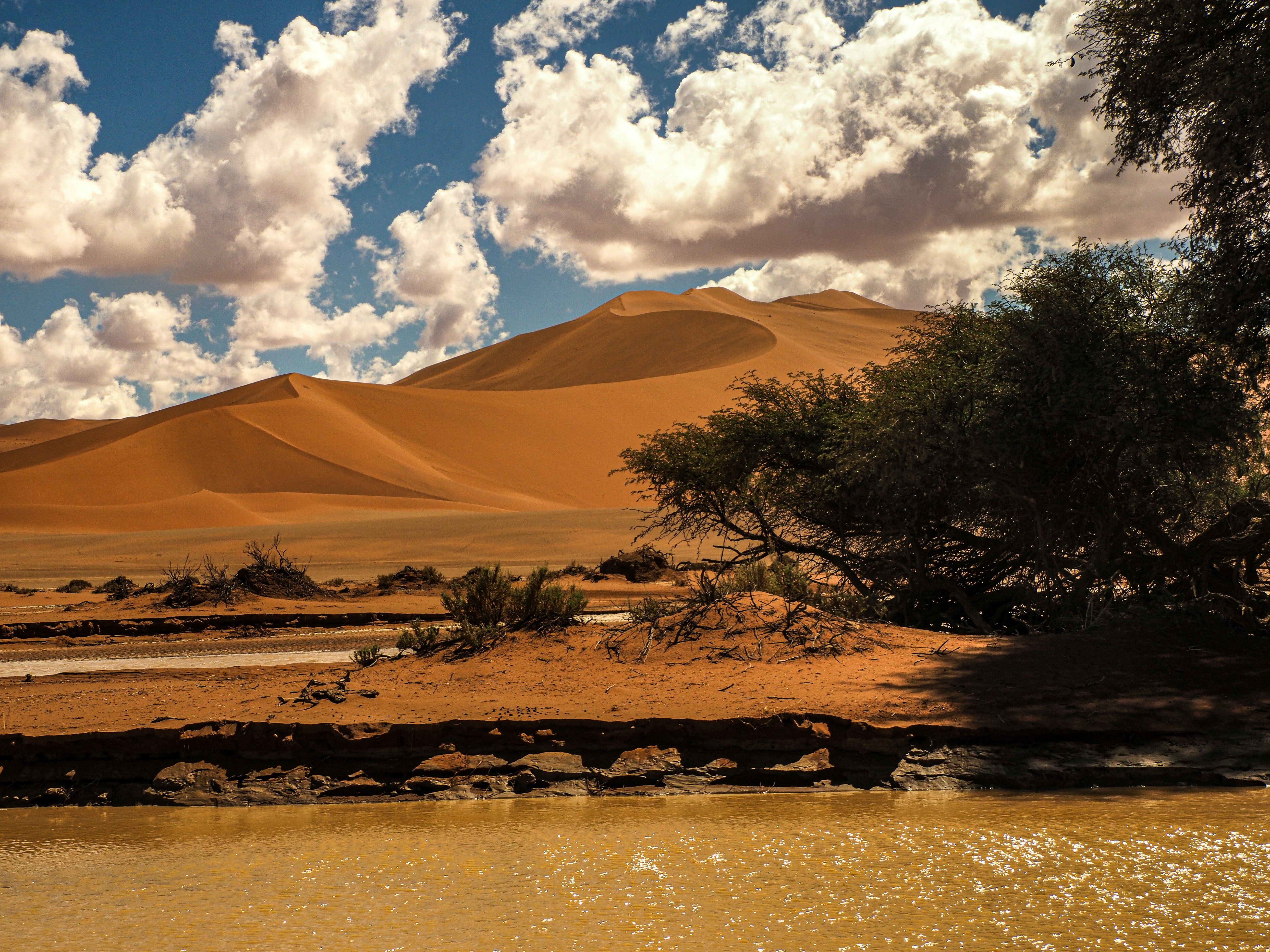 What Is the Nossob River and Why Does It Disappear? - Nossob River Kalahari disappears