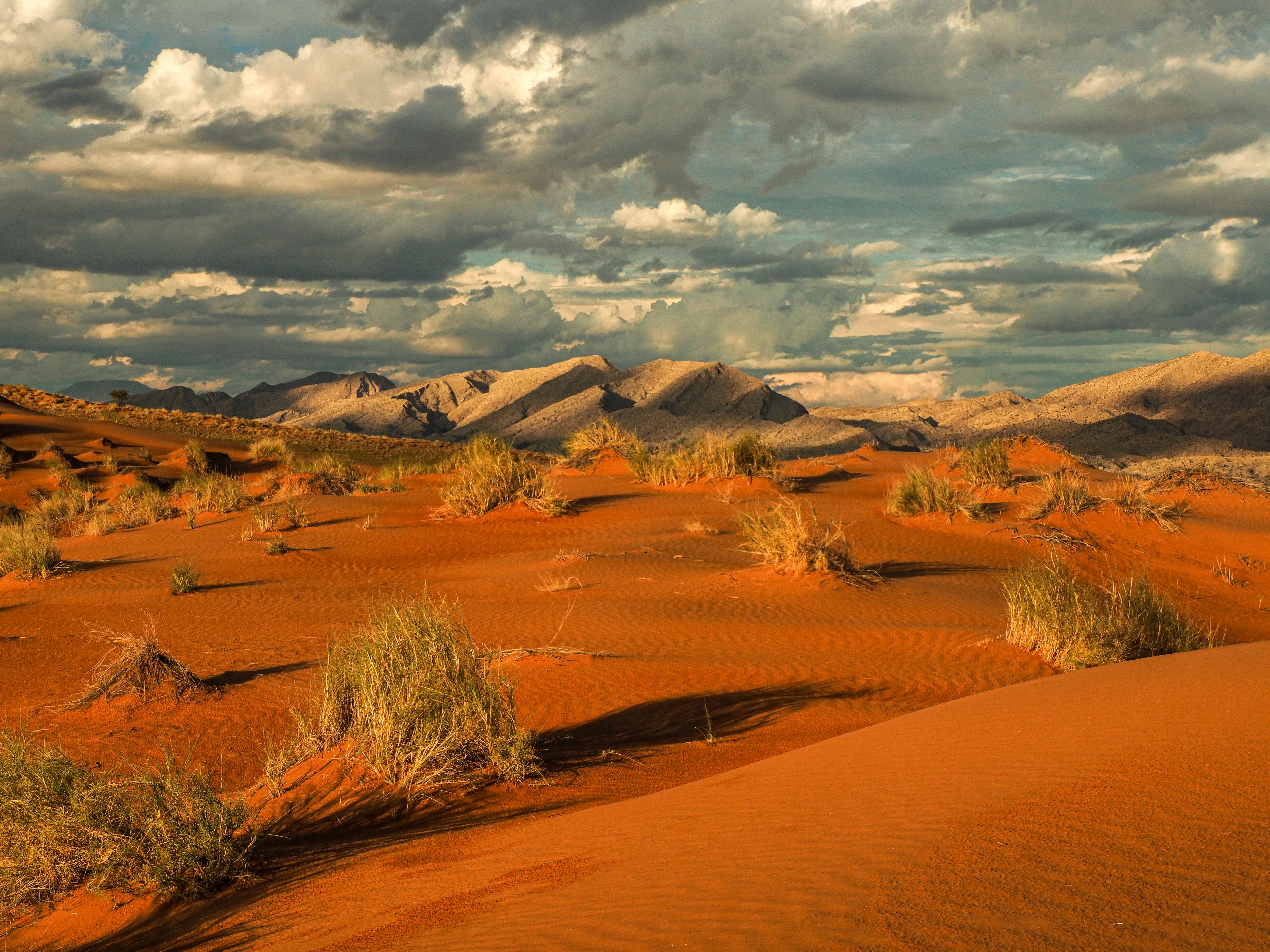 Vast red sand dunes under a dramatic cloudy sky.