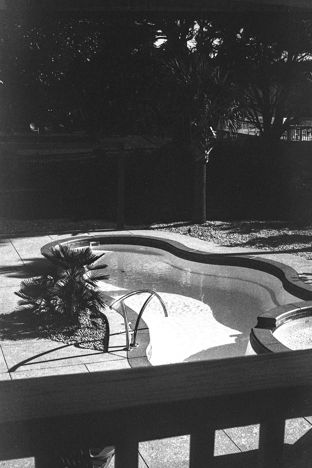 Backyard kidney-shaped swimming pool with an empty basin