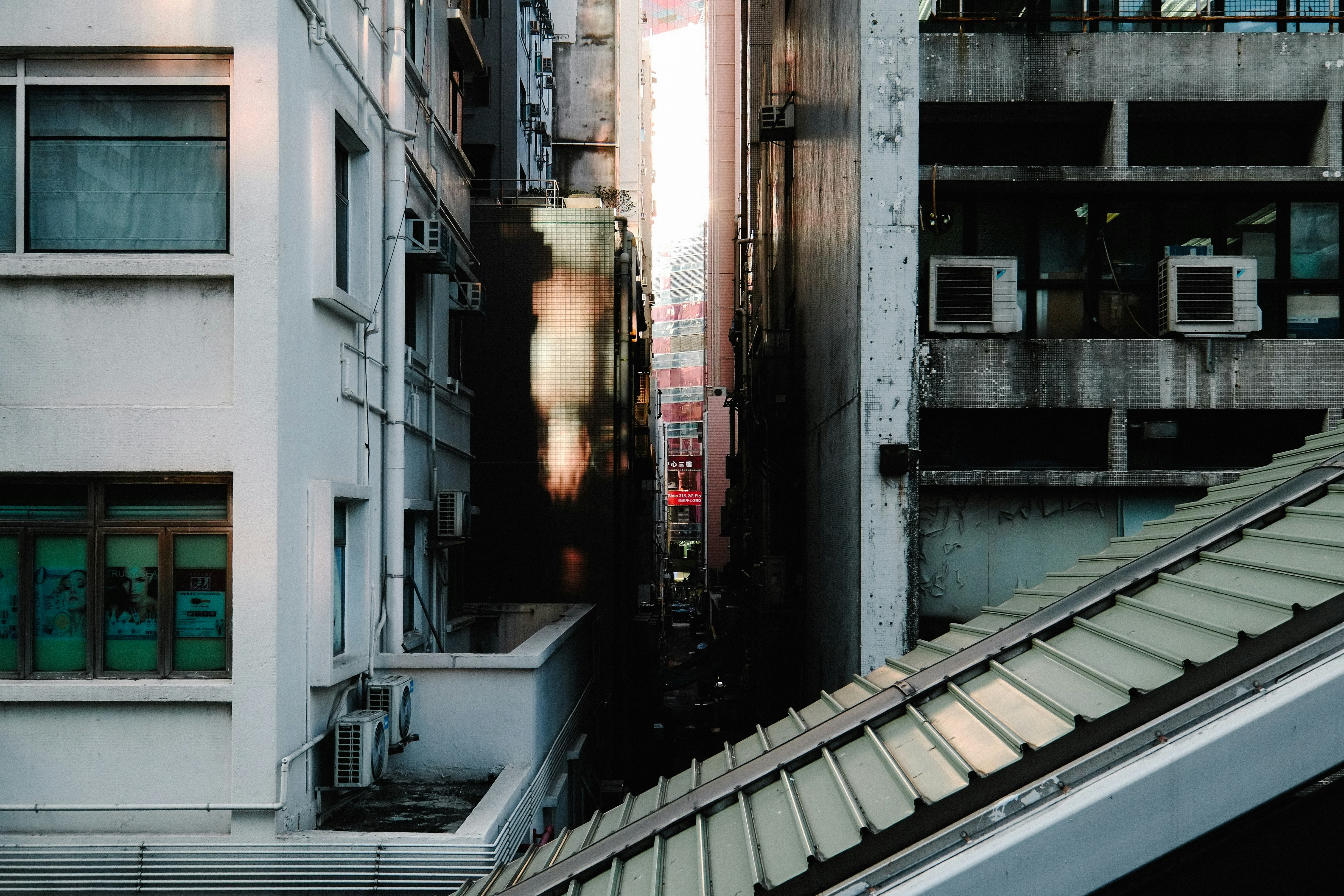 Photo by andythanhhaii