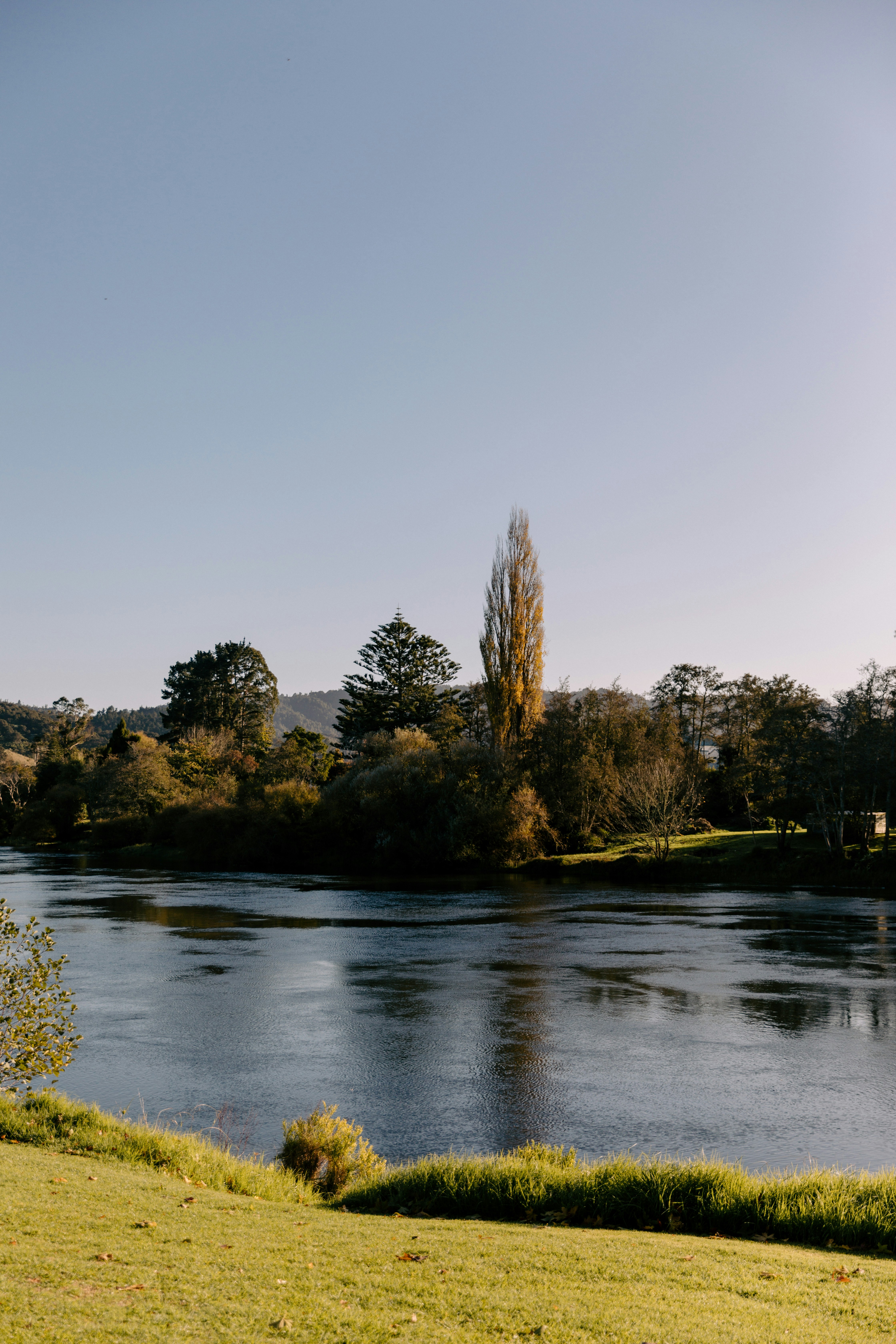 Photo by createinme_nz