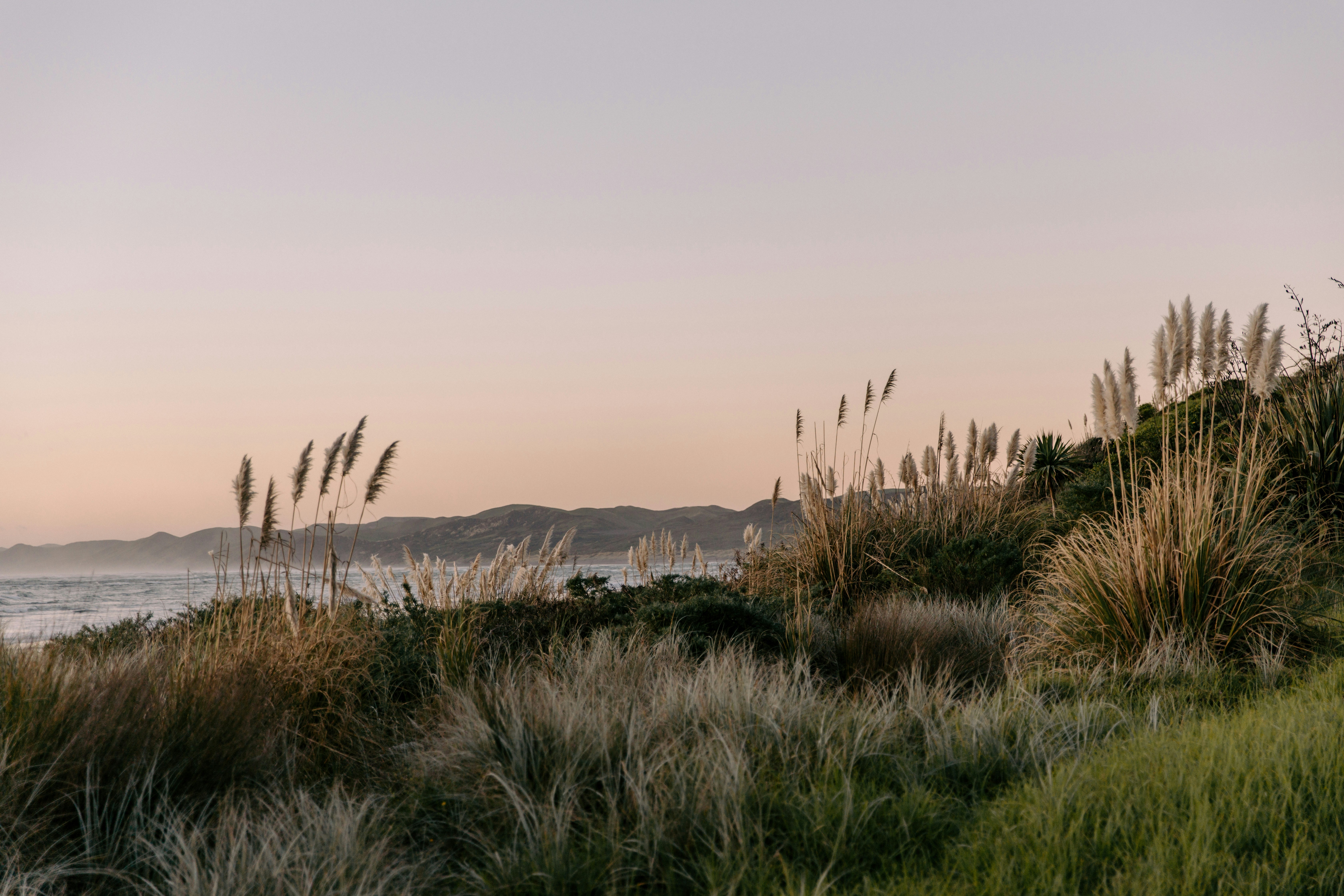 Photo by createinme_nz