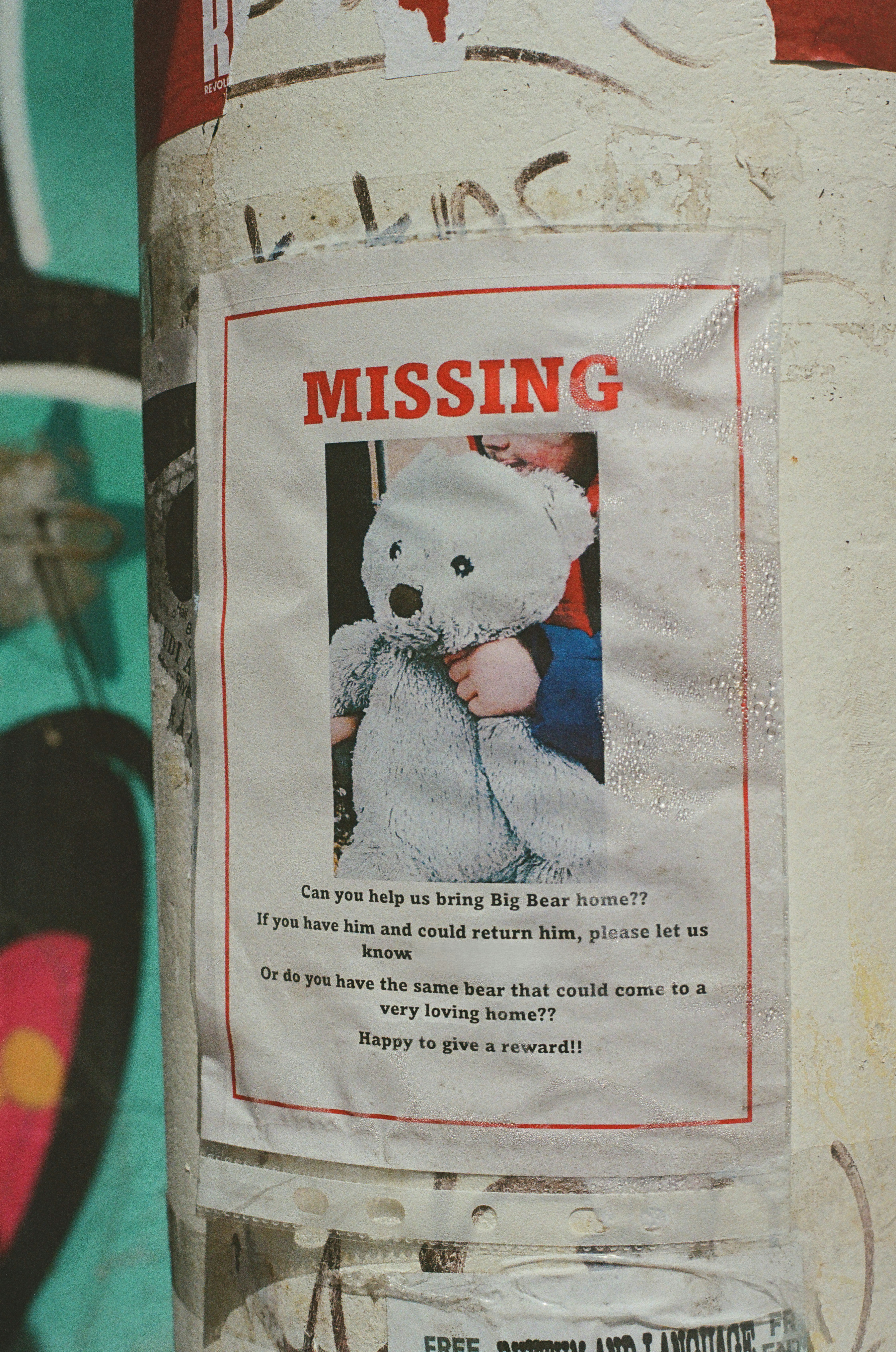 Missing teddy bear poster on a weathered, graffiti-covered pole.