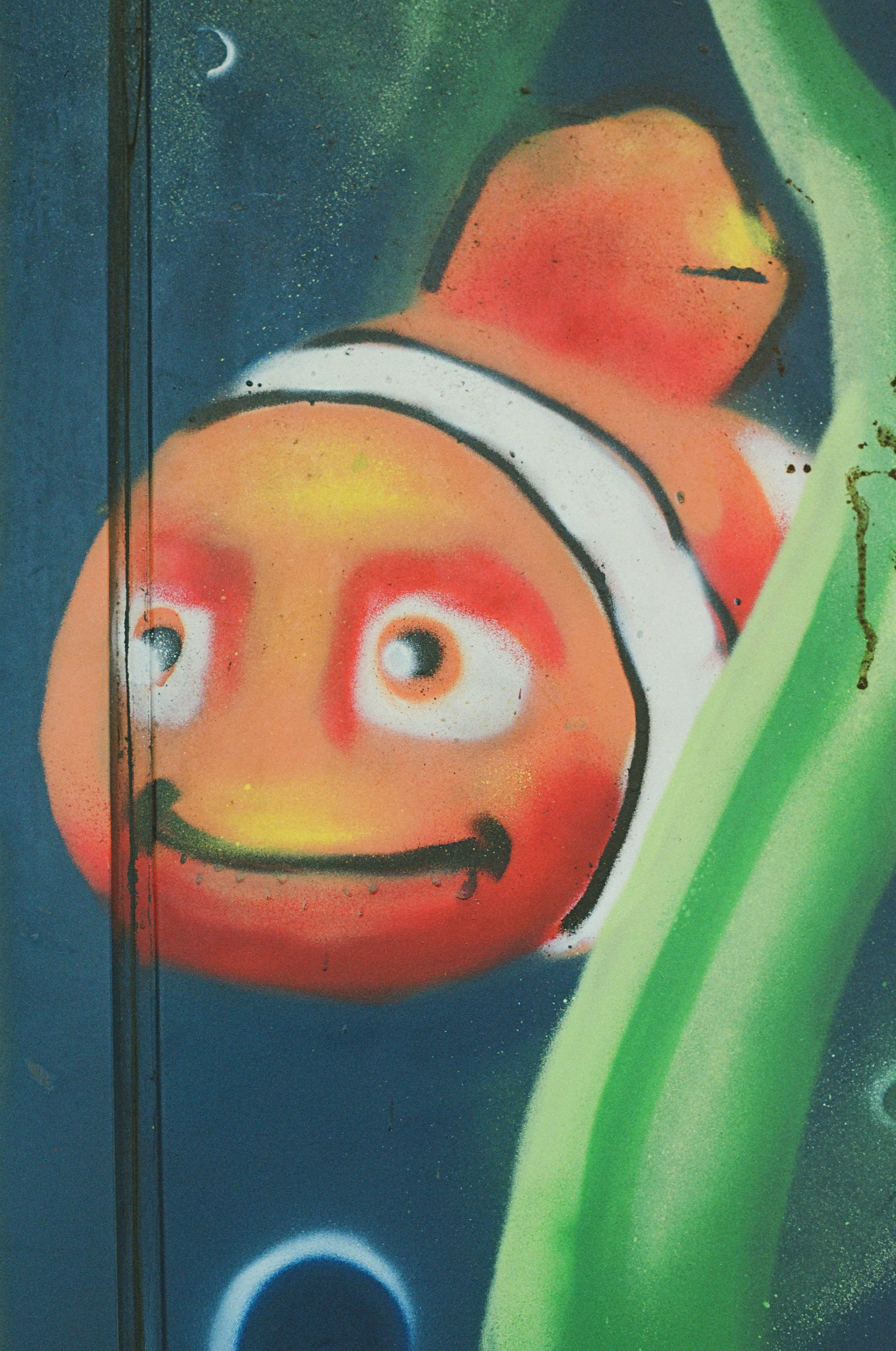 Fish Cartoon Pictures | Download Free Images on Unsplash