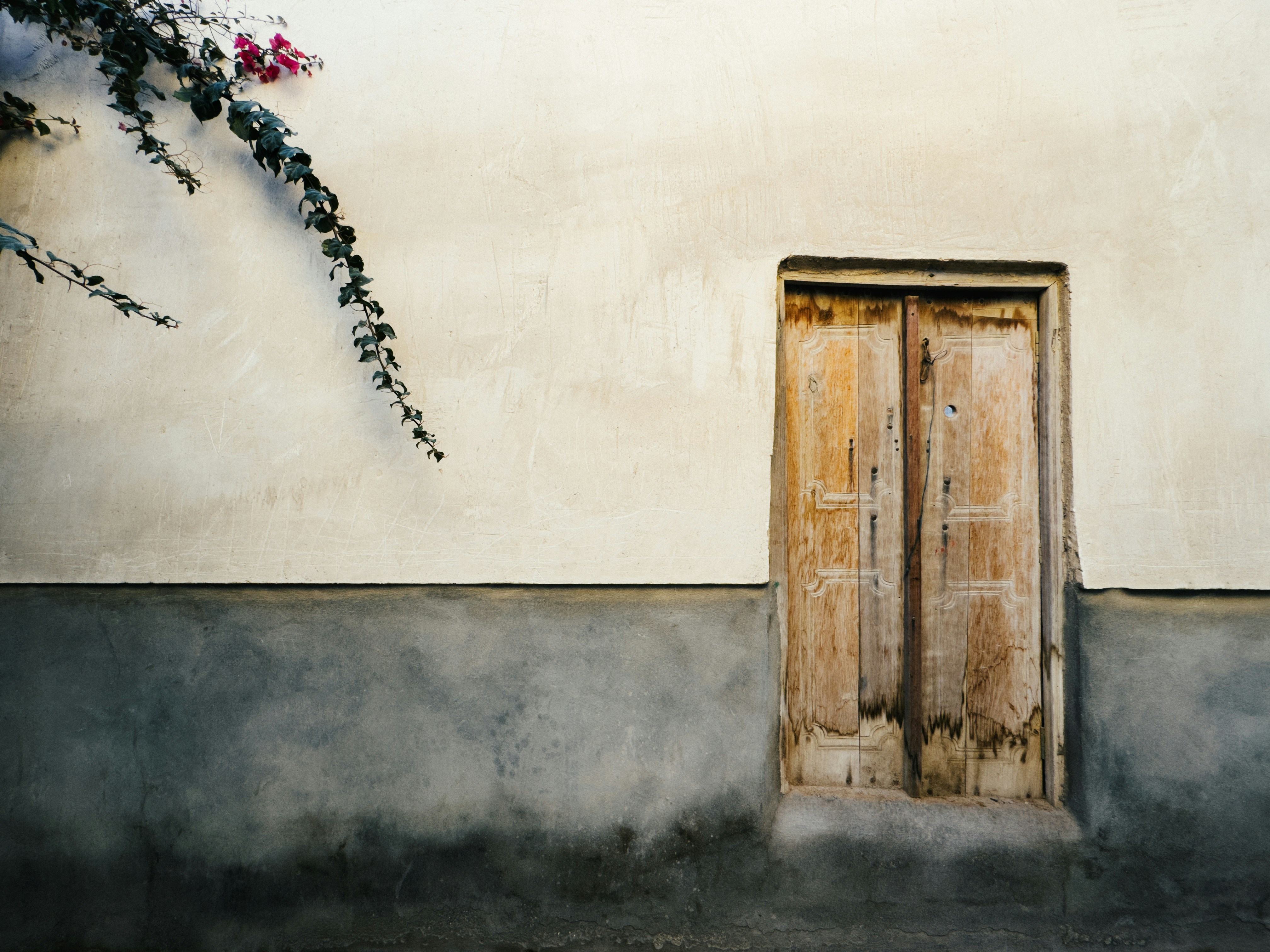 Photo by zacoovic