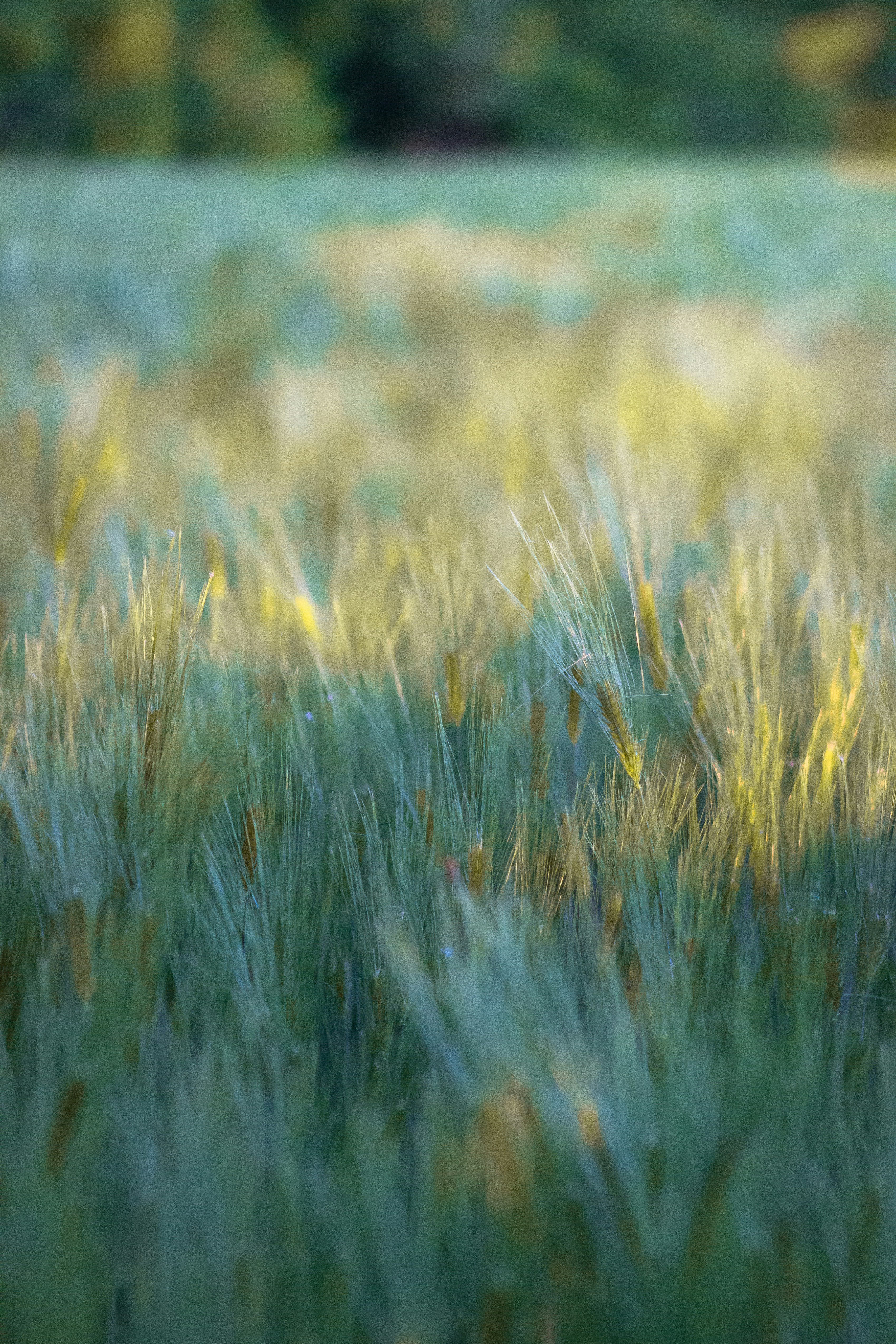 Photo by ilkeyazgan