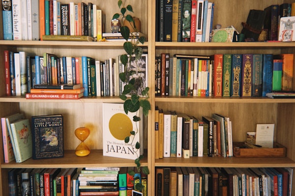 Holzregal mit Büchern und Pflanzen