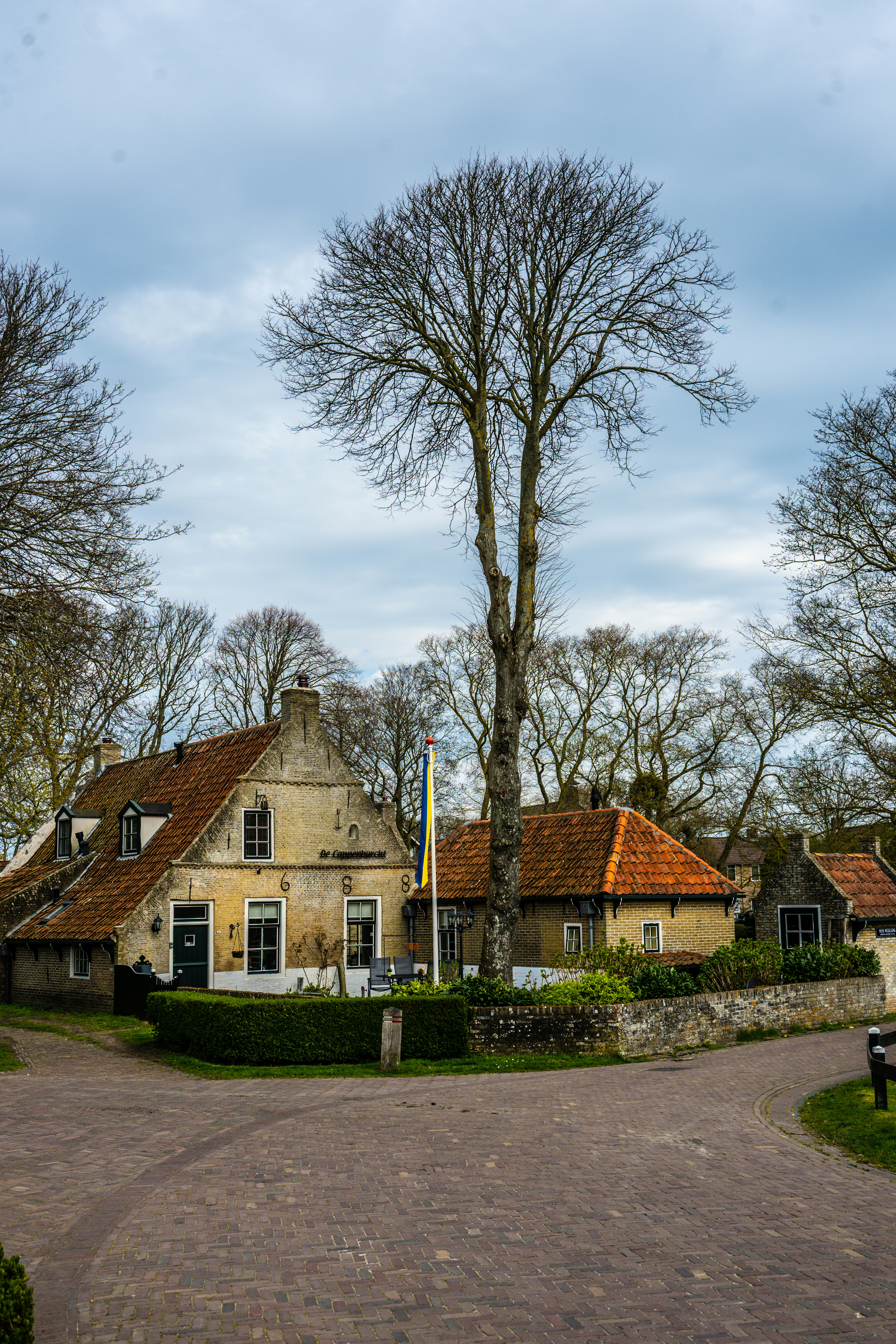 Village européen historique avec de vieilles maisons et un grand arbre