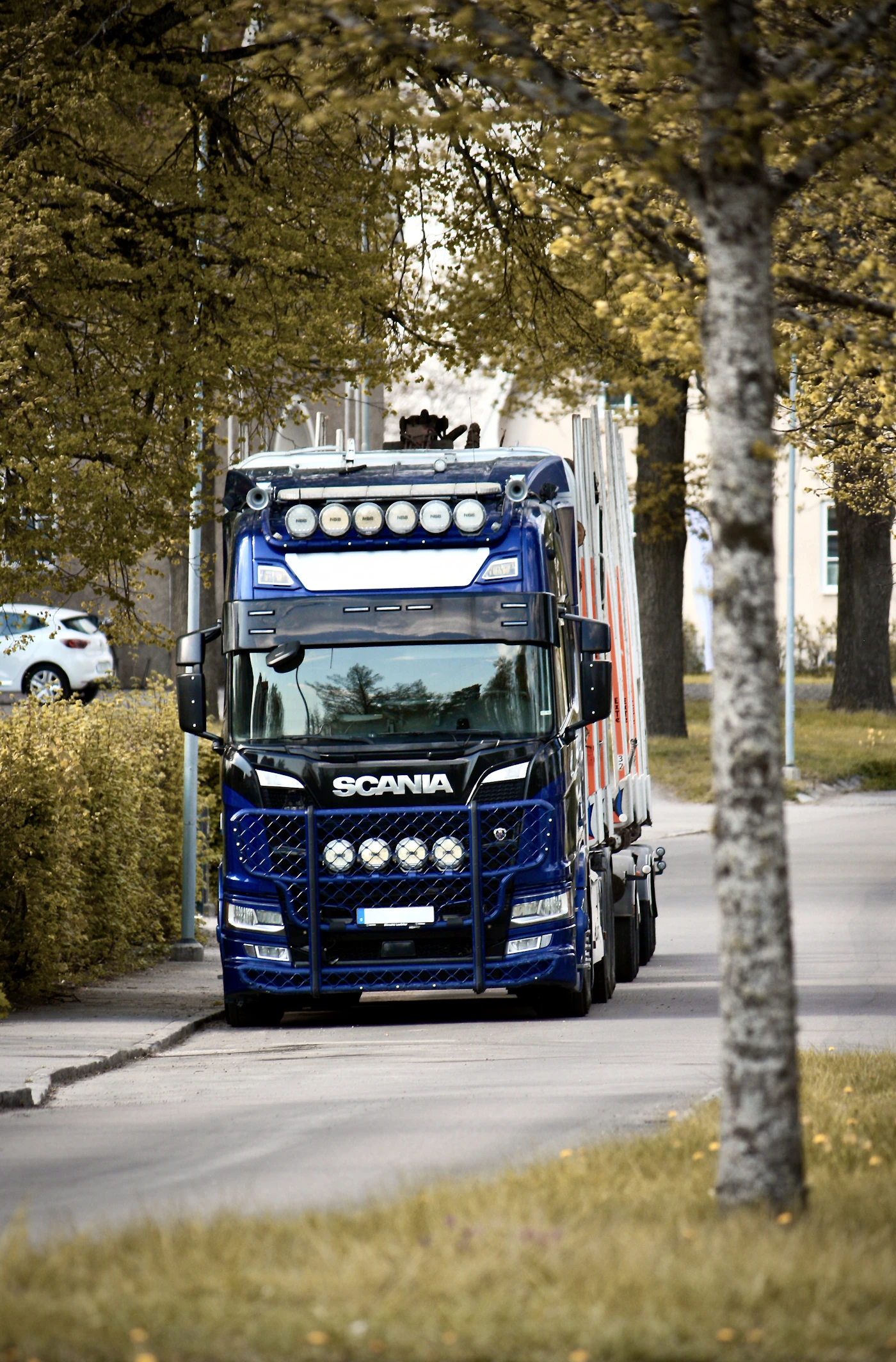 Blue Scania truck on a tree-lined road