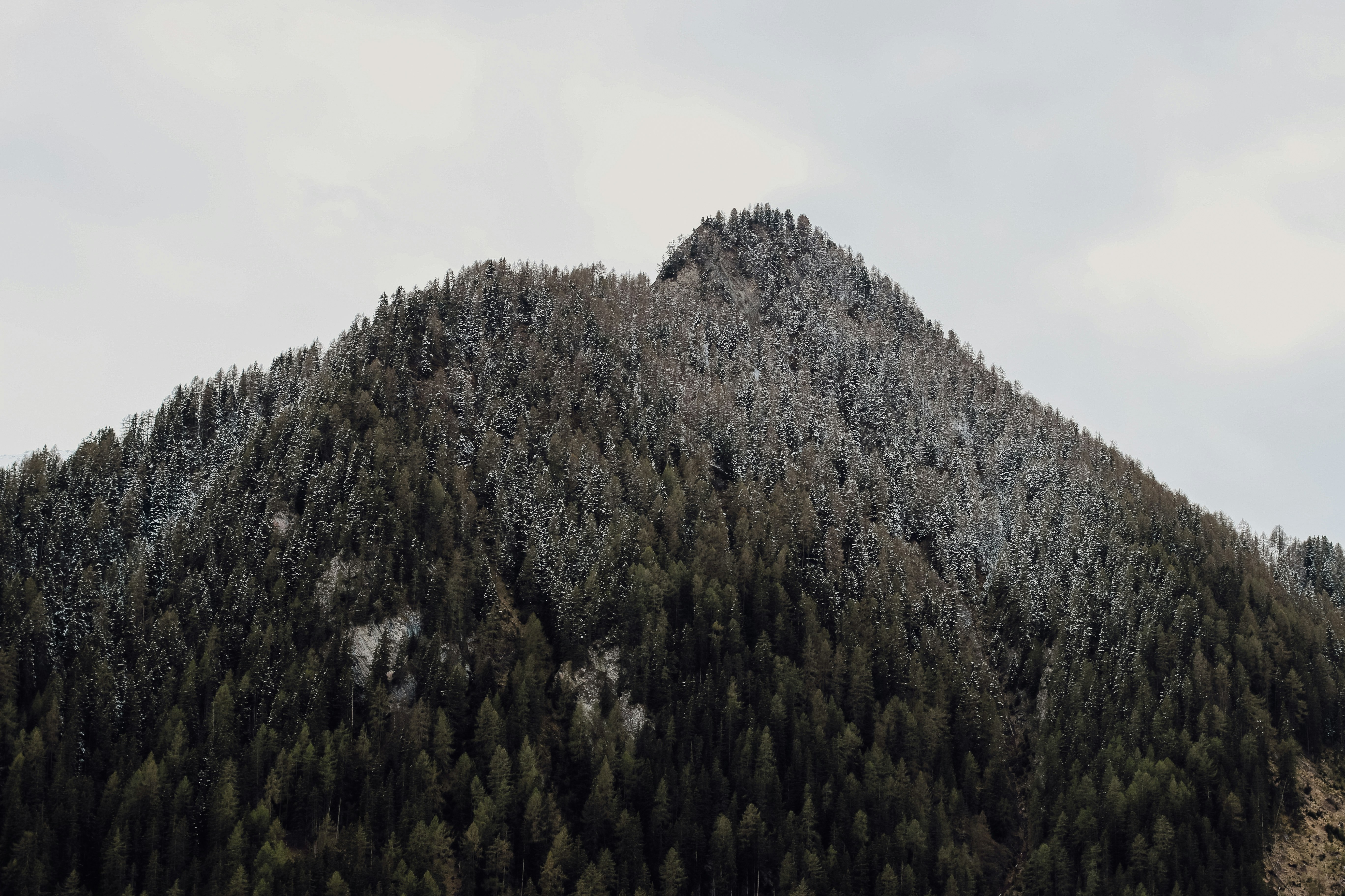 Photo by rvasilovski