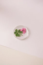 A three-leaf clover and pink flower preserved in resin