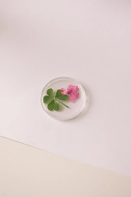 A three-leaf clover and pink flower preserved in resin