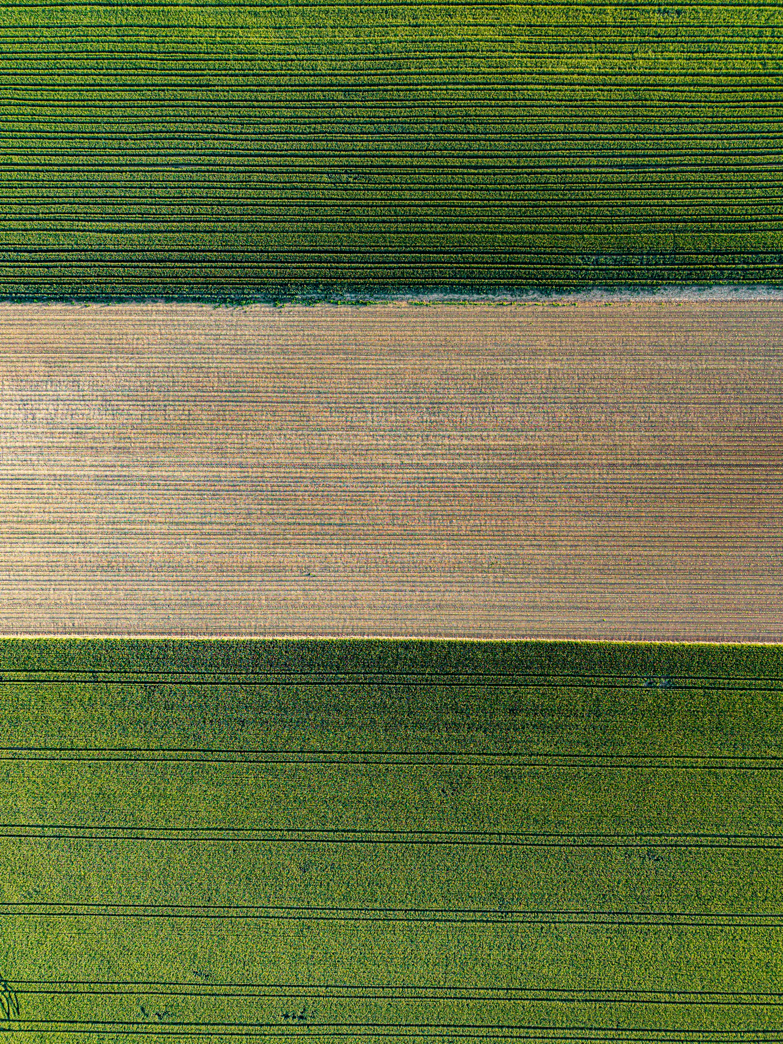 Landsquare Fertile Acres