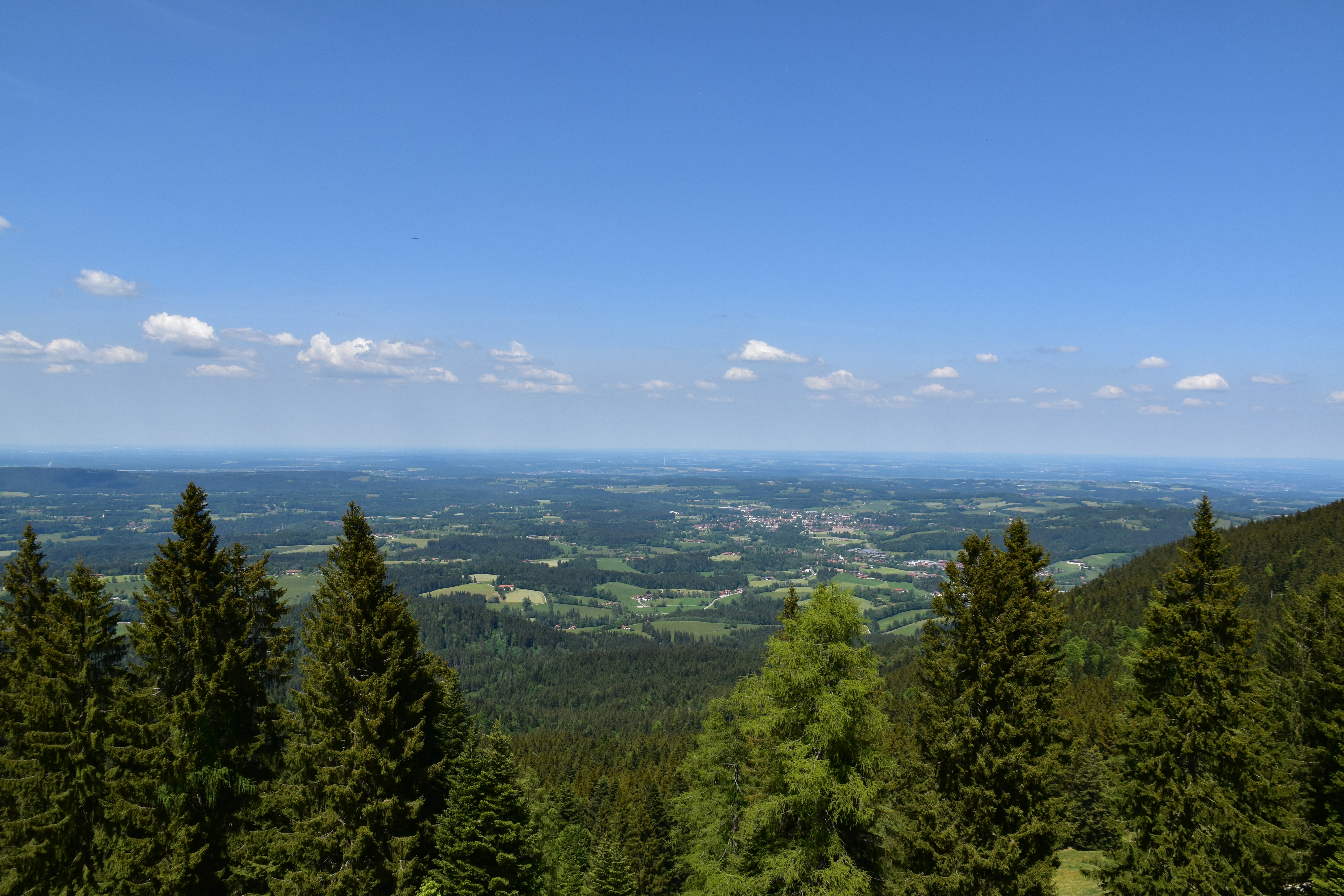Photo by heilbron