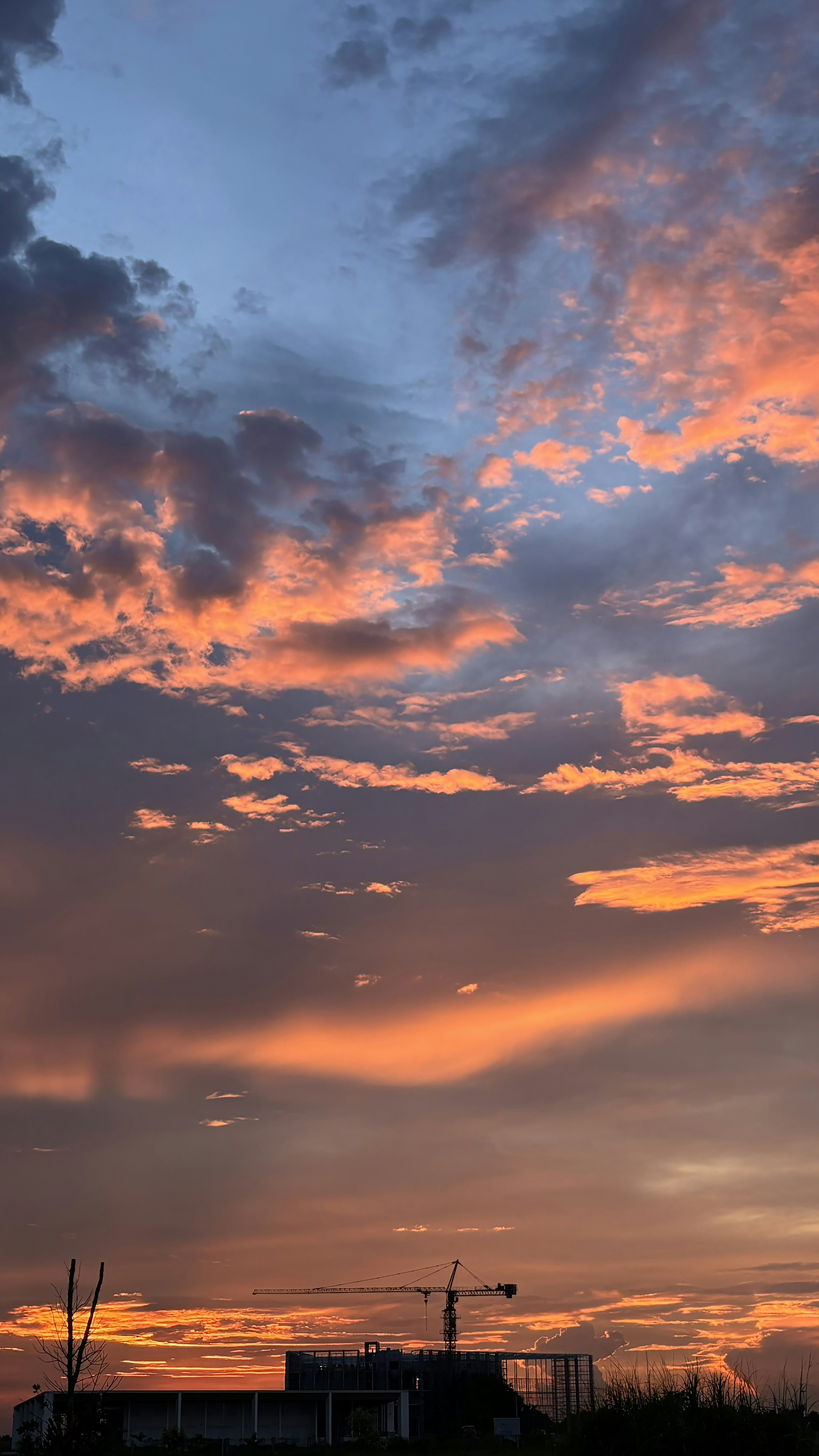 Photo by archternoon