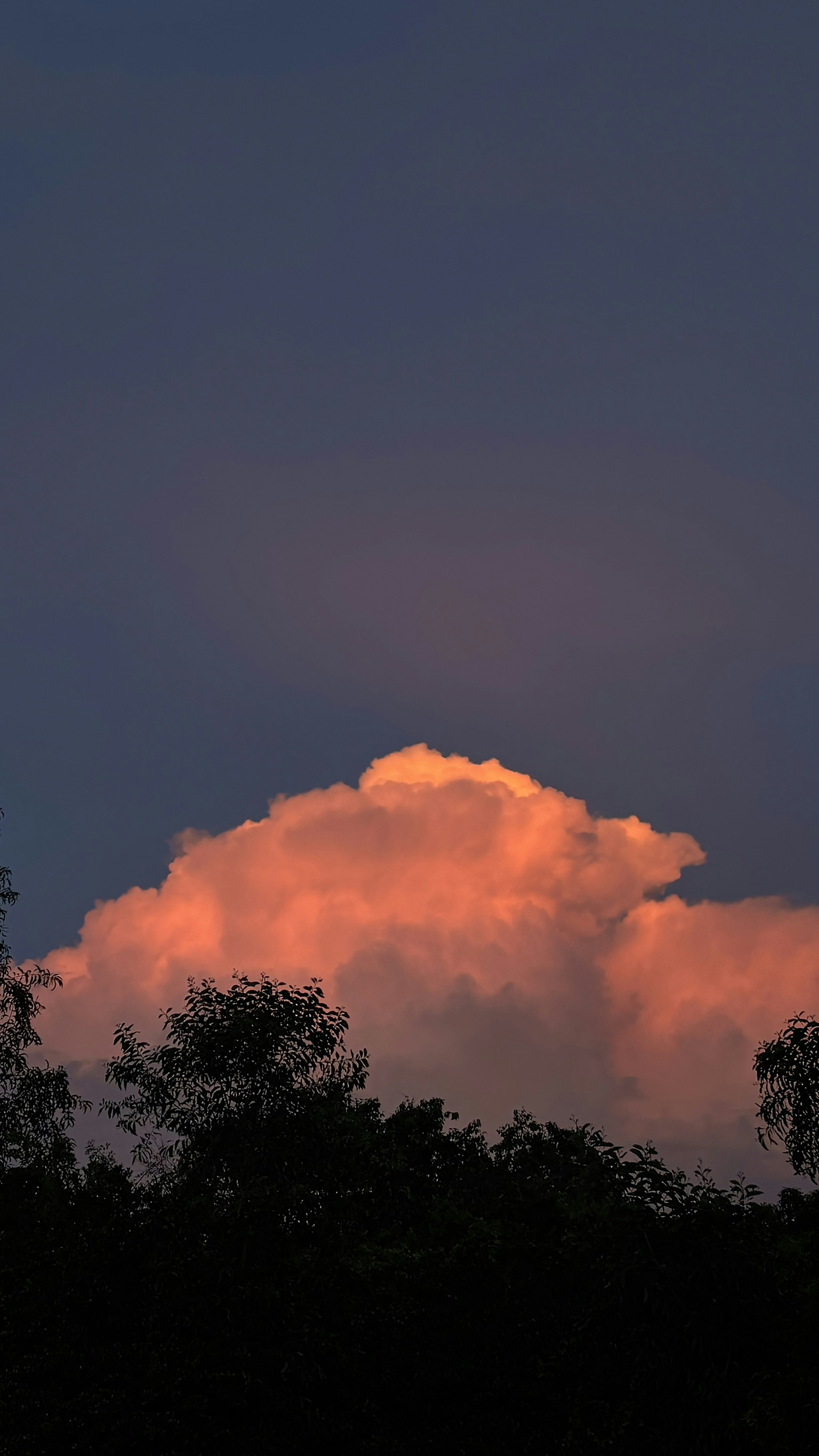 Photo by archternoon