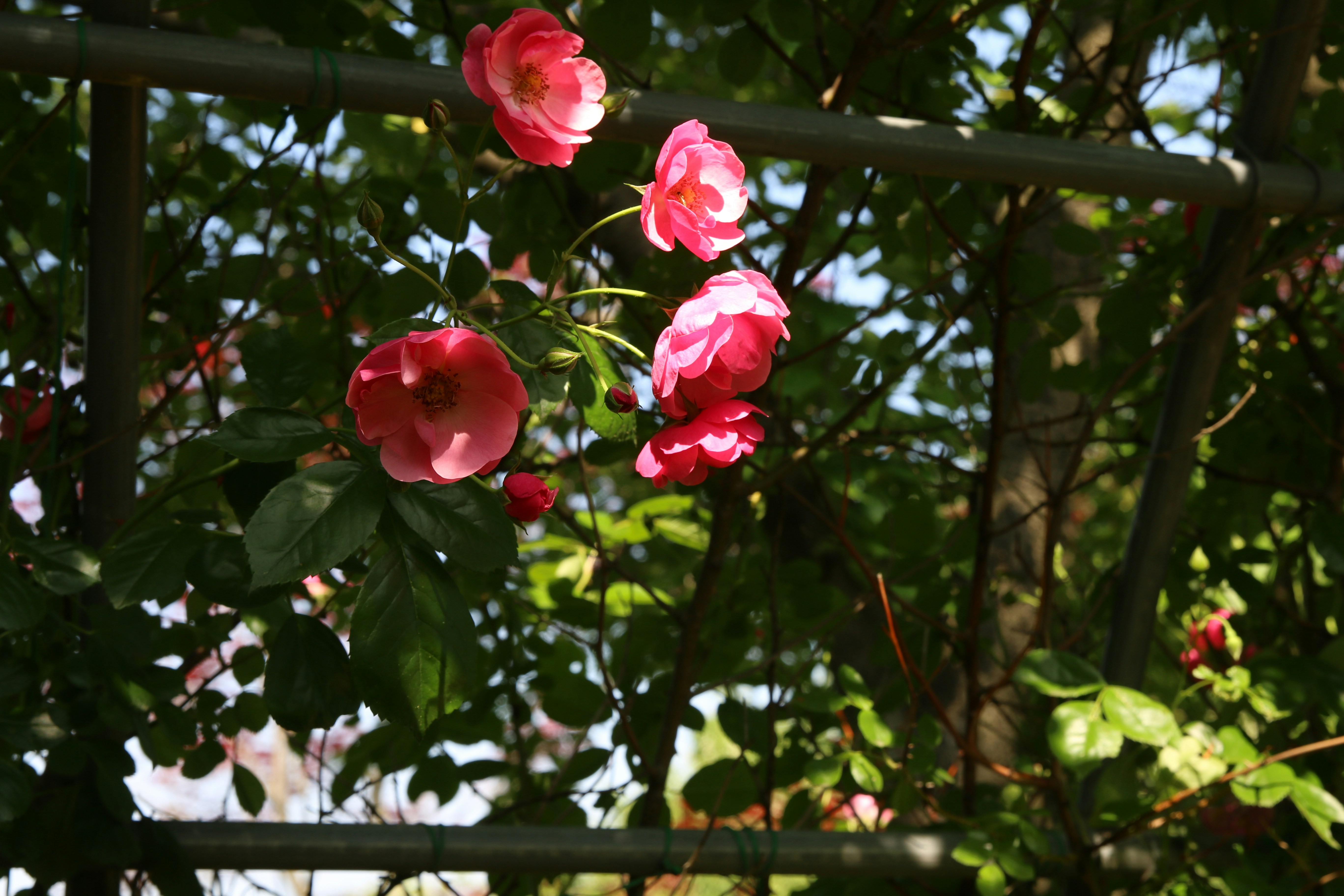 Photo by chulho