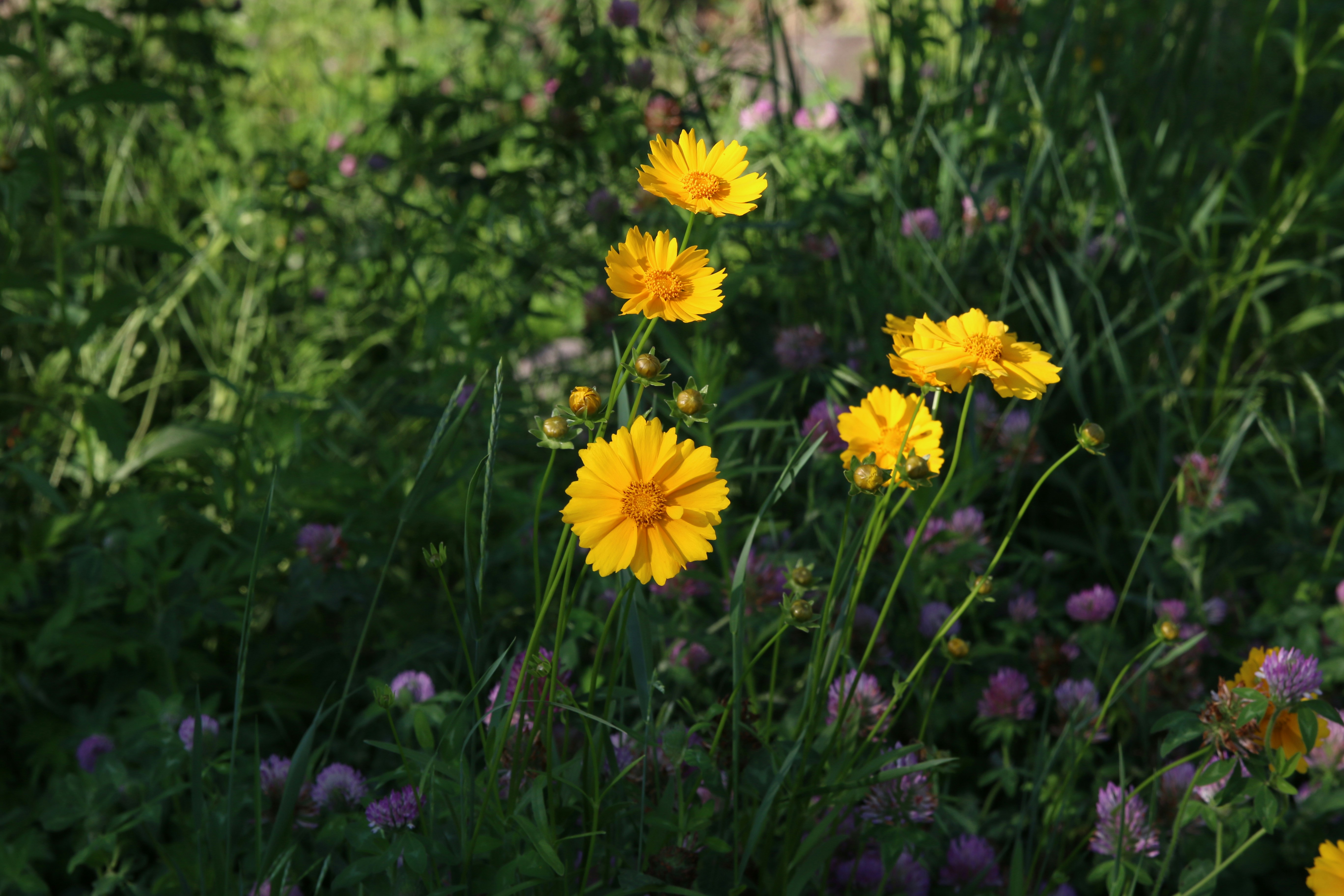 Photo by chulho