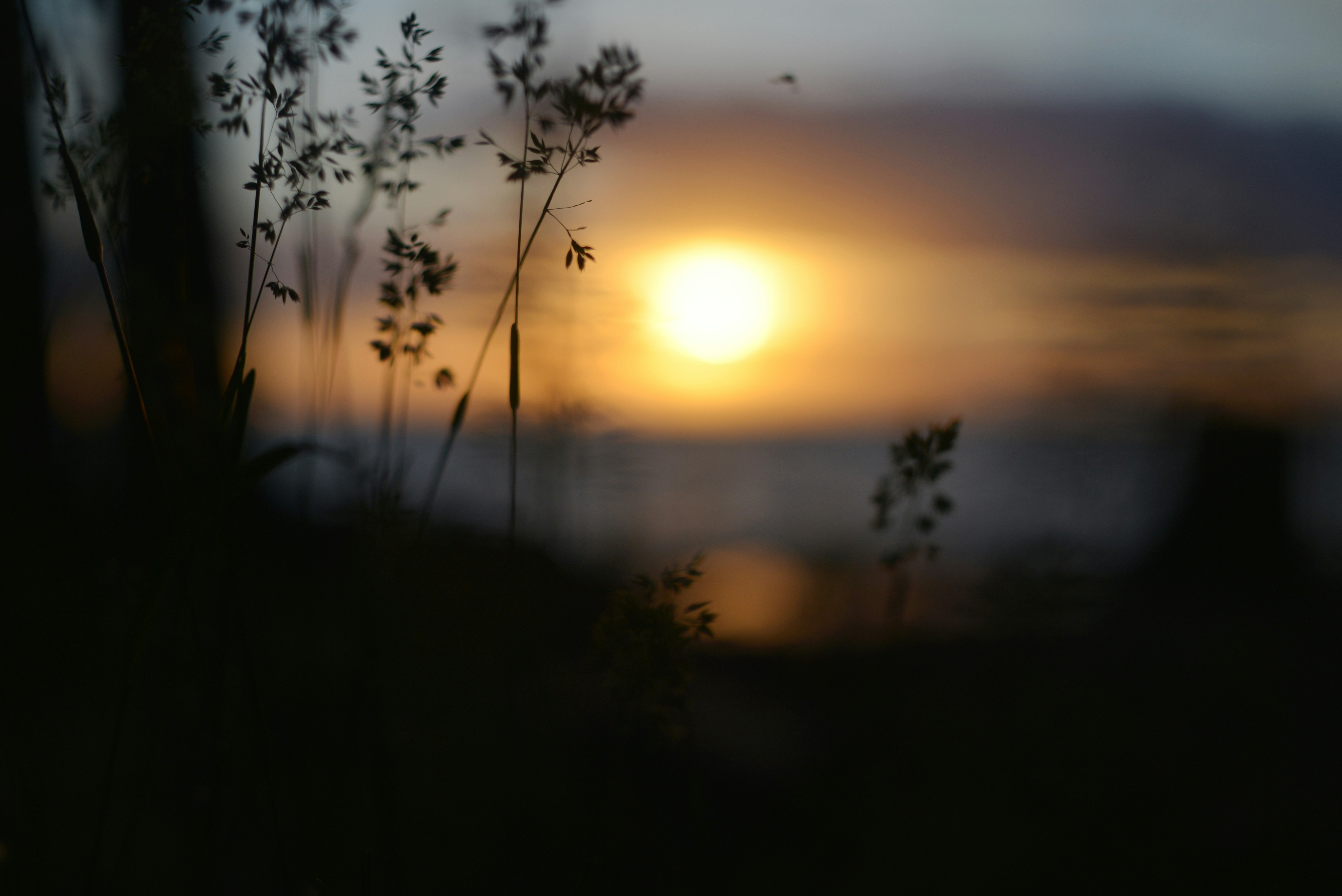 Photo by cherstve_pechivo