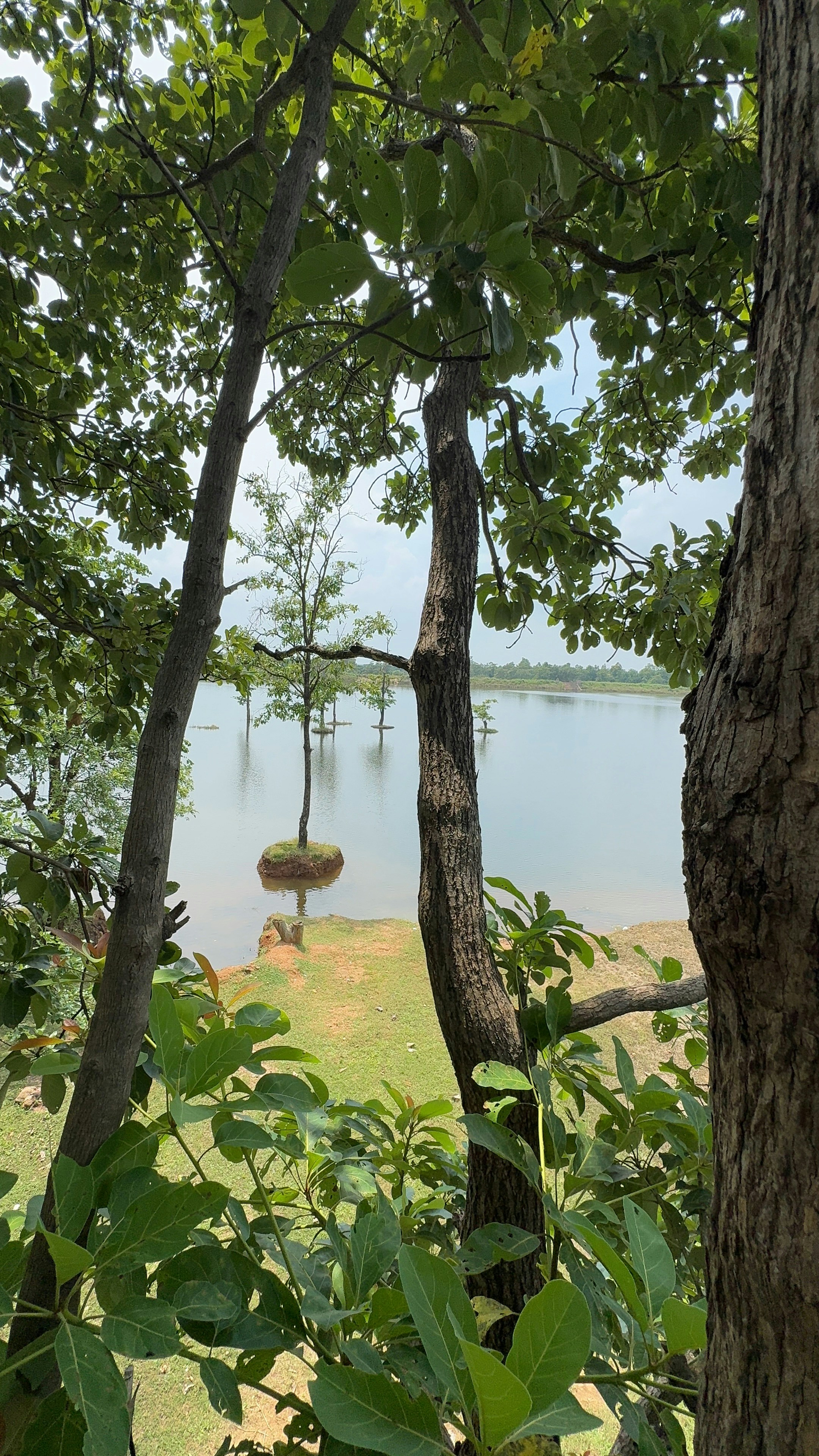 Lake